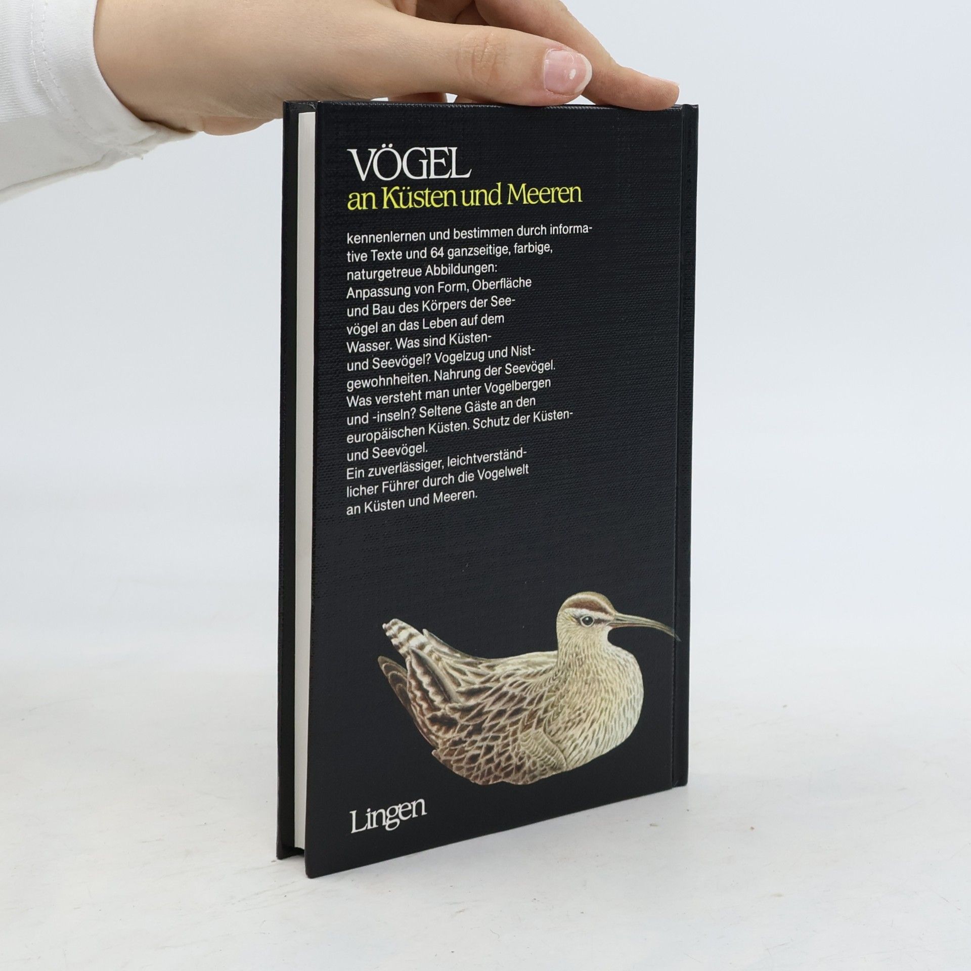 J. Felix Vögel an Küsten und Meeren