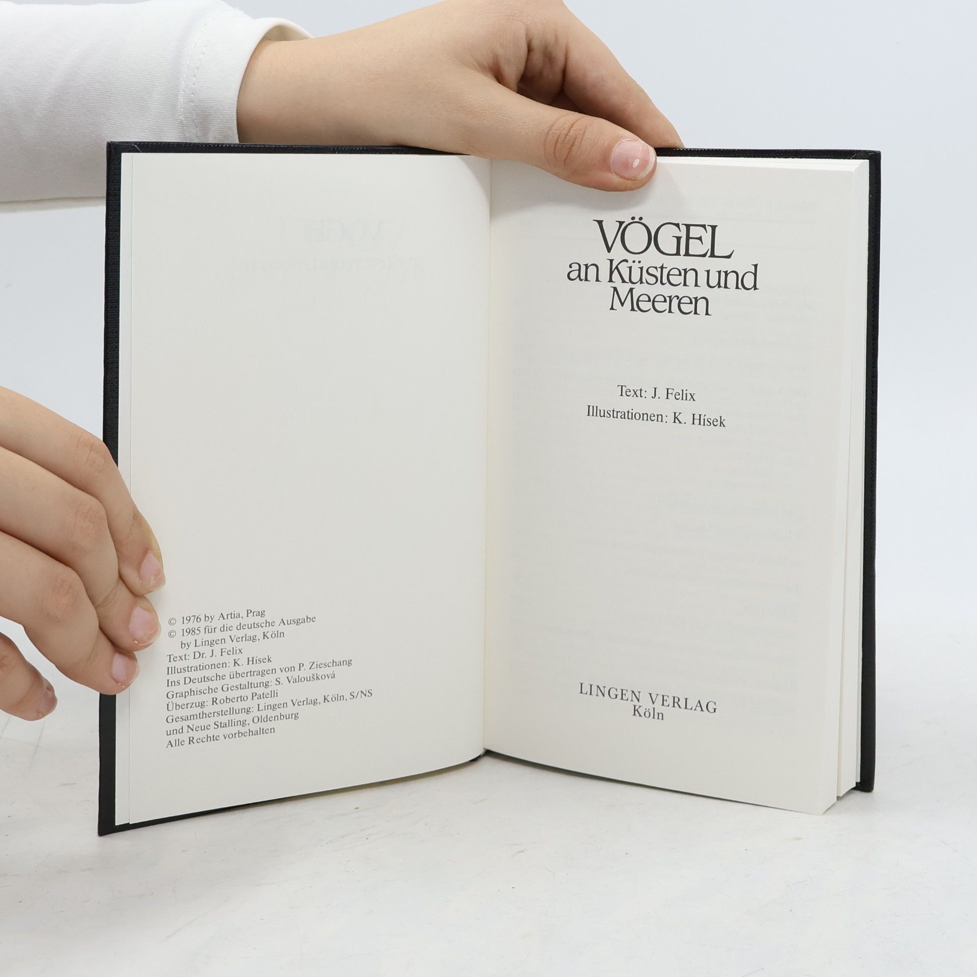 J. Felix Vögel an Küsten und Meeren