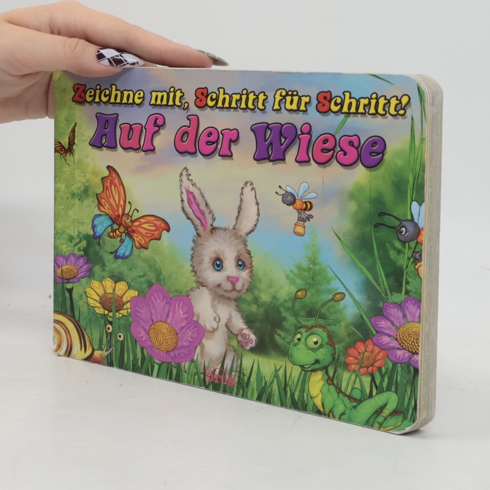 kolektiv Auf der Wiese