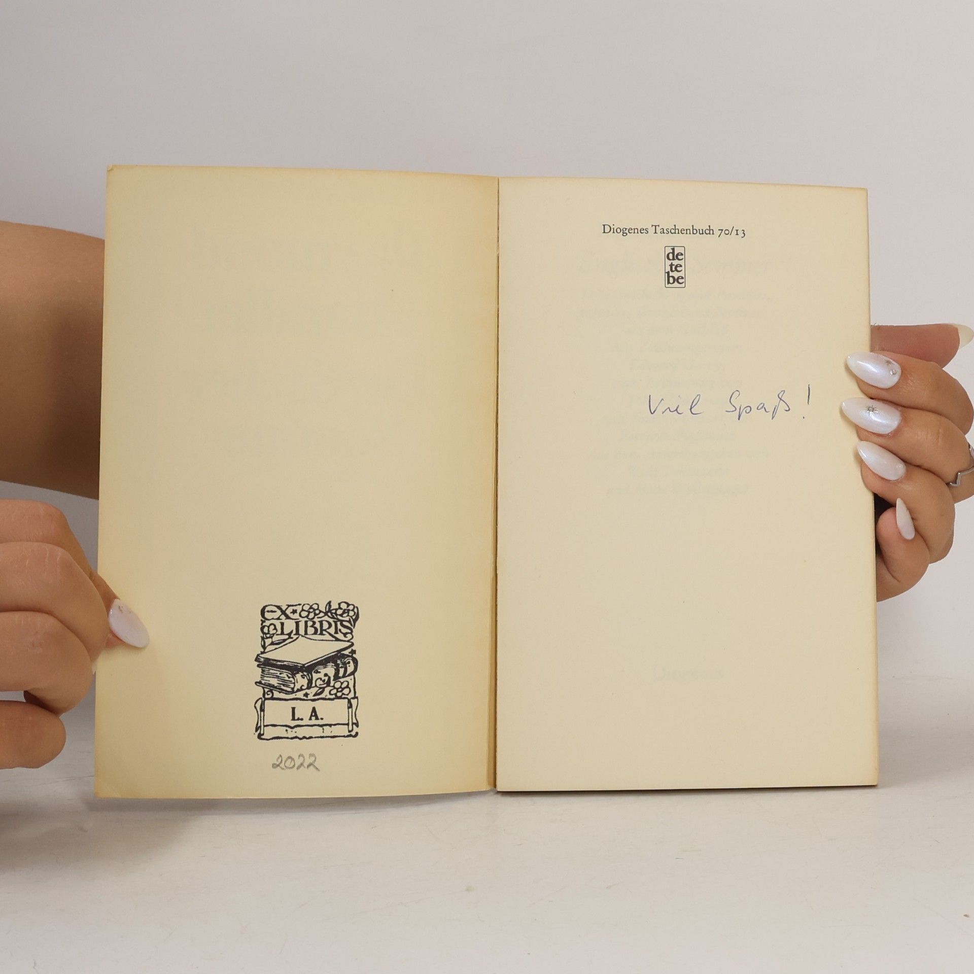 Raymond Chandler Englischer Sommer