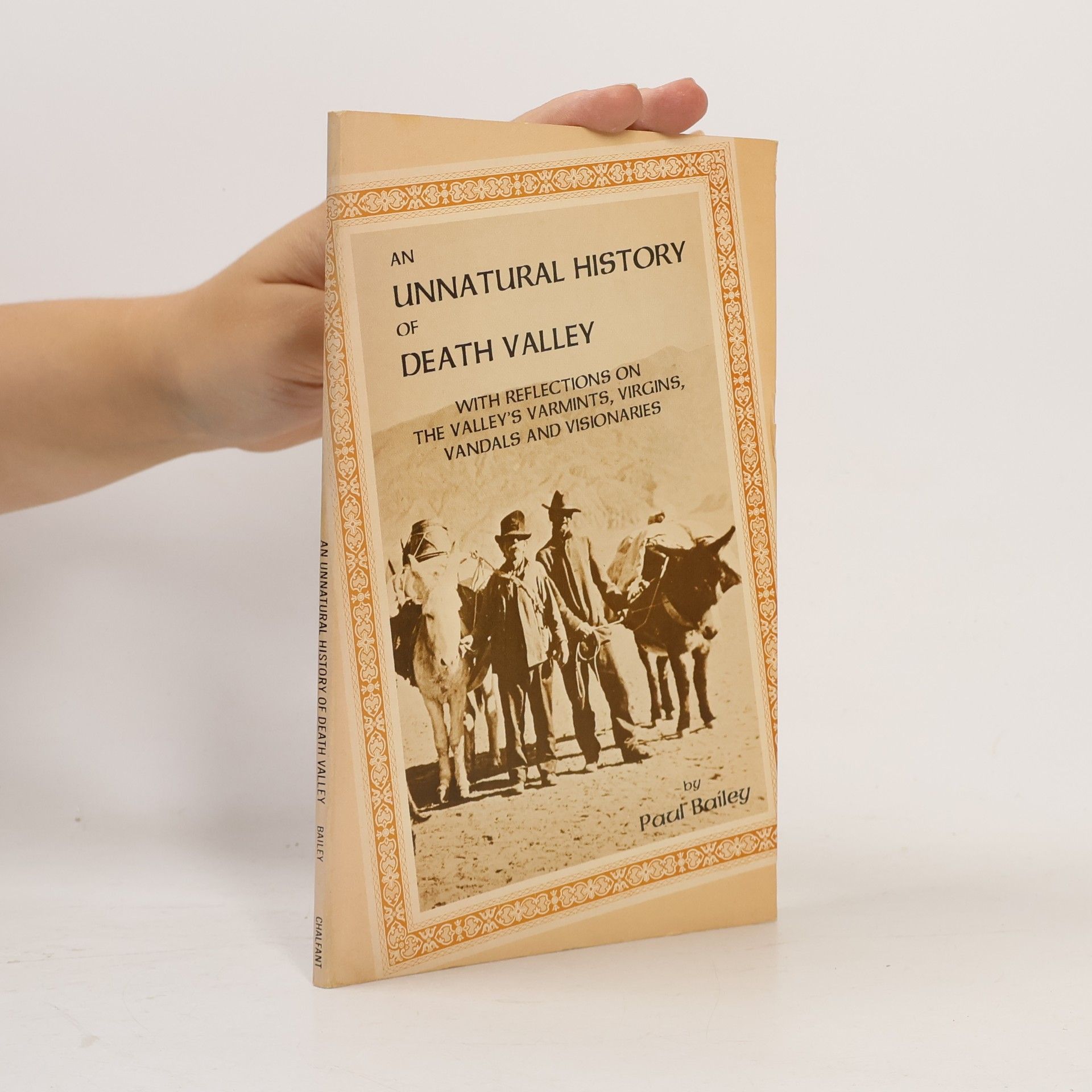 Paul Dayton Bailey An Unnatural History of Death Valley