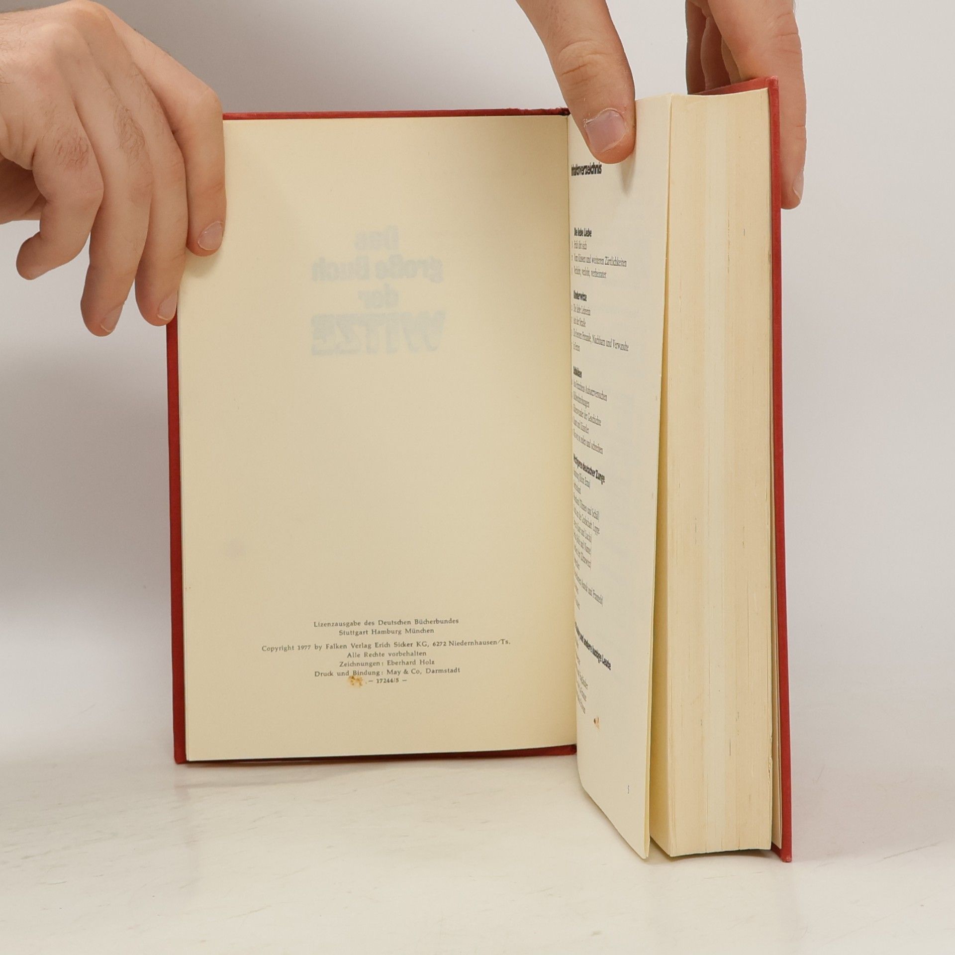 Eberhard Holz Das große Buch der Witze