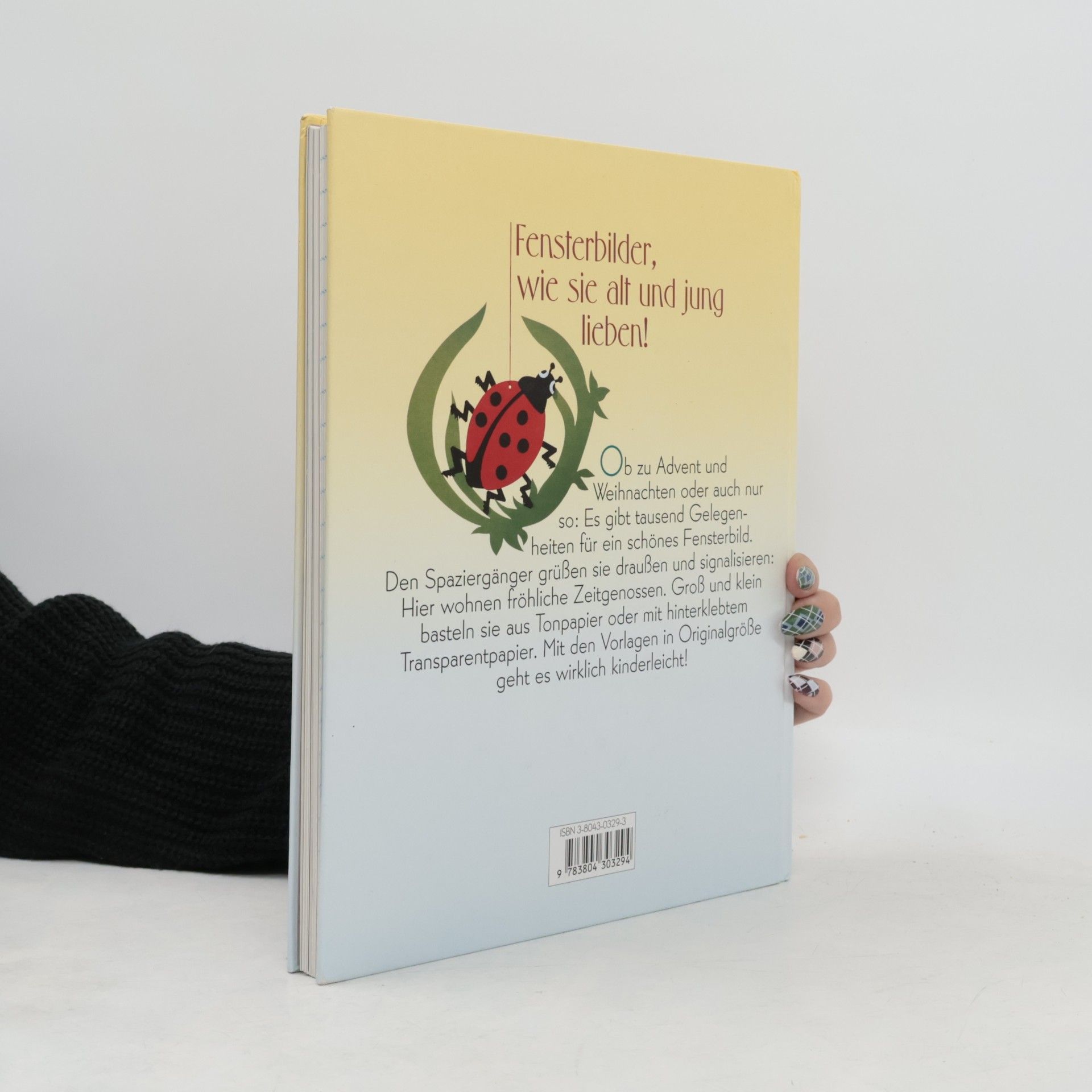Renate Vogl Das große Fensterbilderbuch