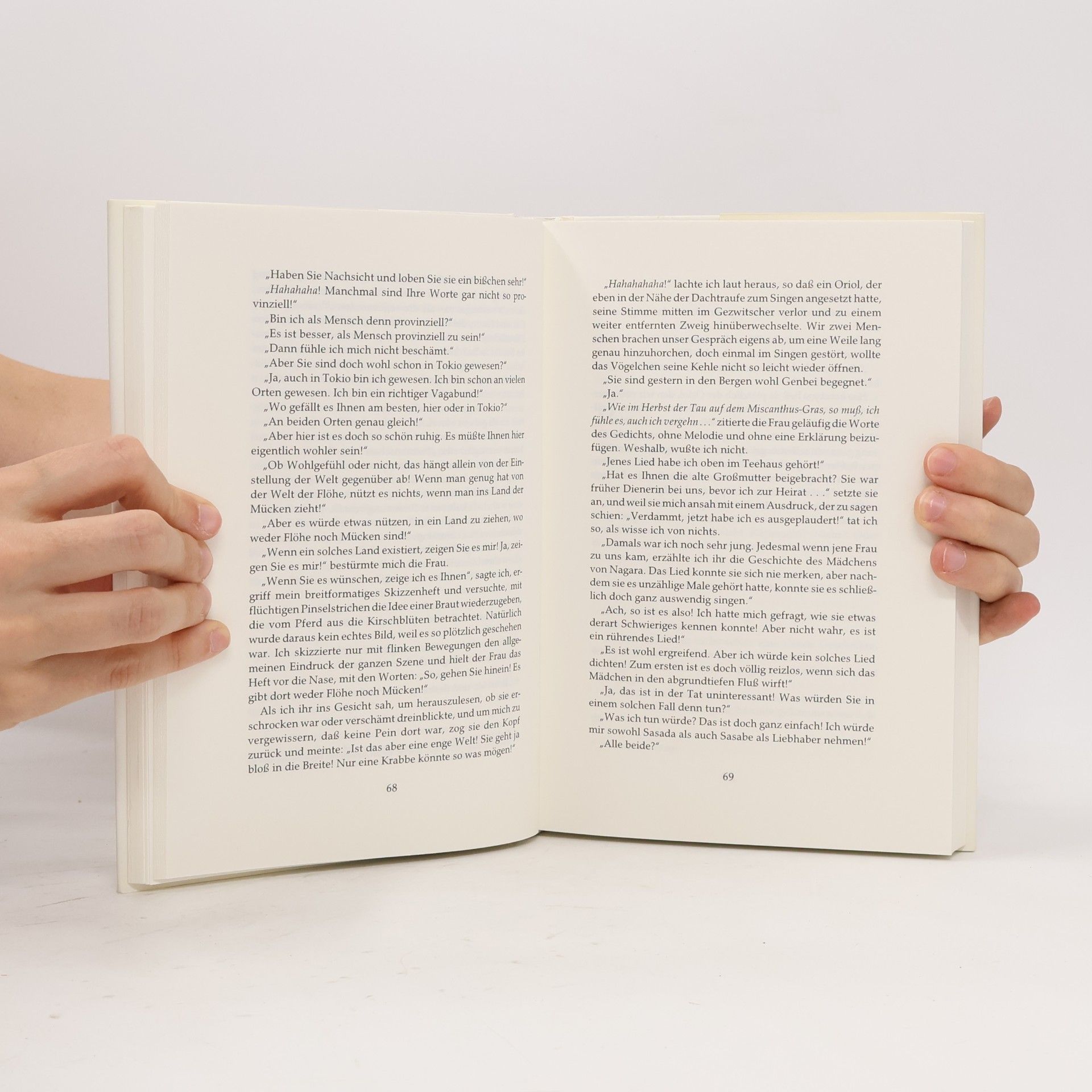 Sóseki Nacume Das Graskissen-Buch