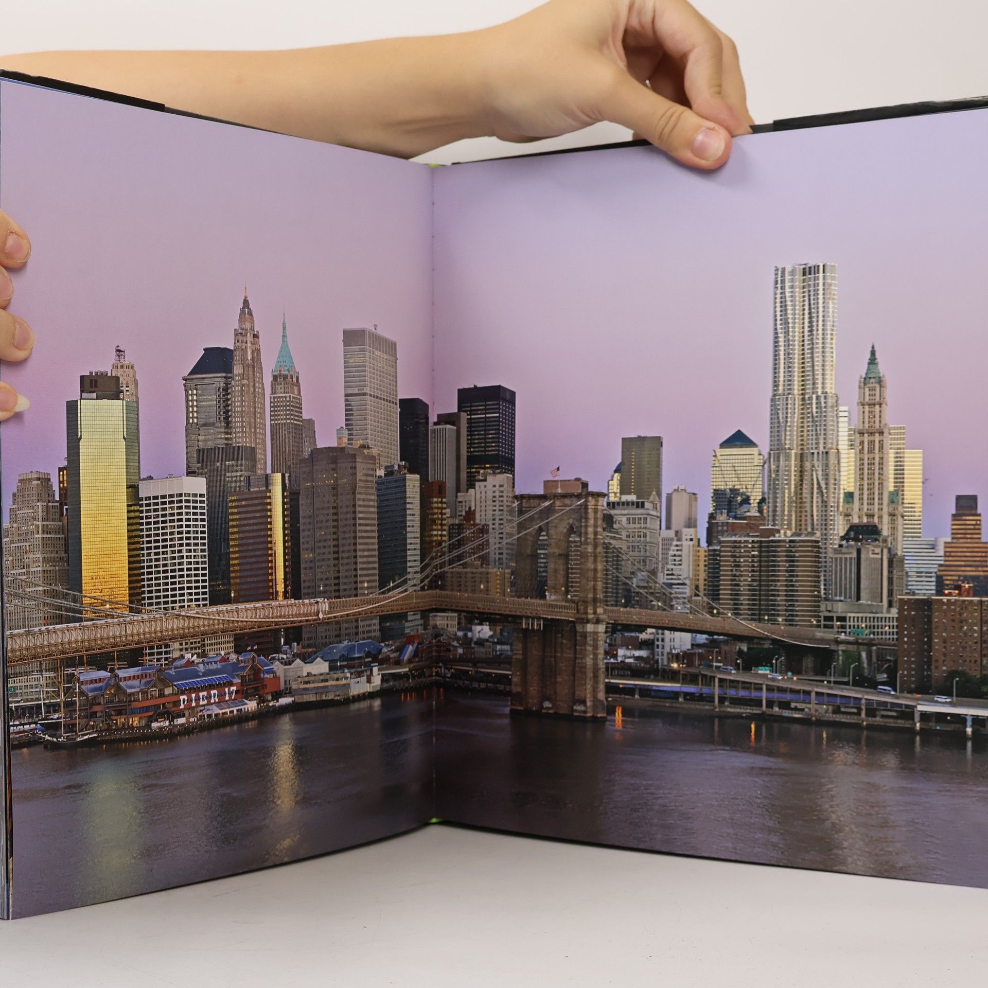 Jake Rajs New New York