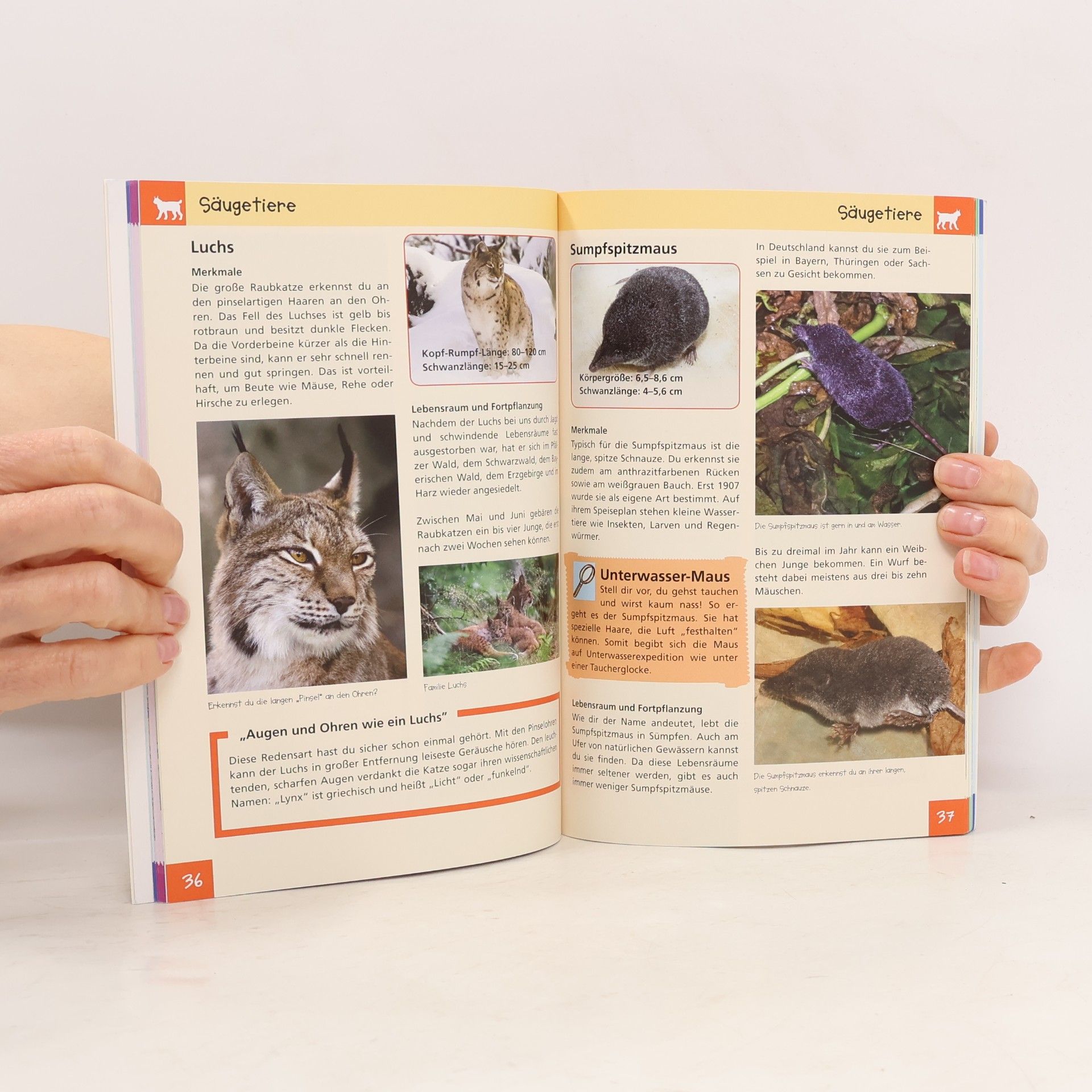 Kolektiv autorů Bedrohte Tiere