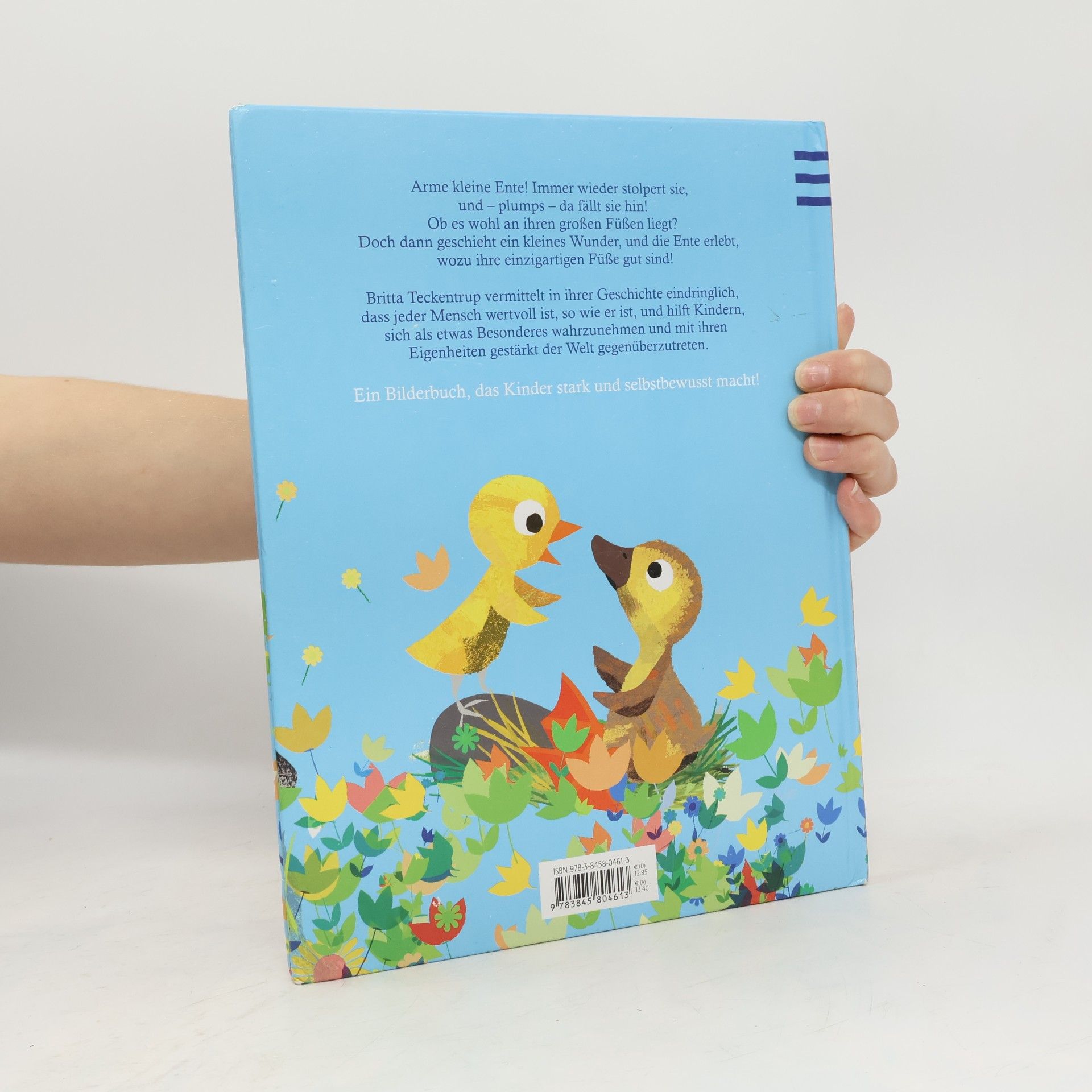 Britta Teckentrup Die kleine Ente mit den großen Füßen