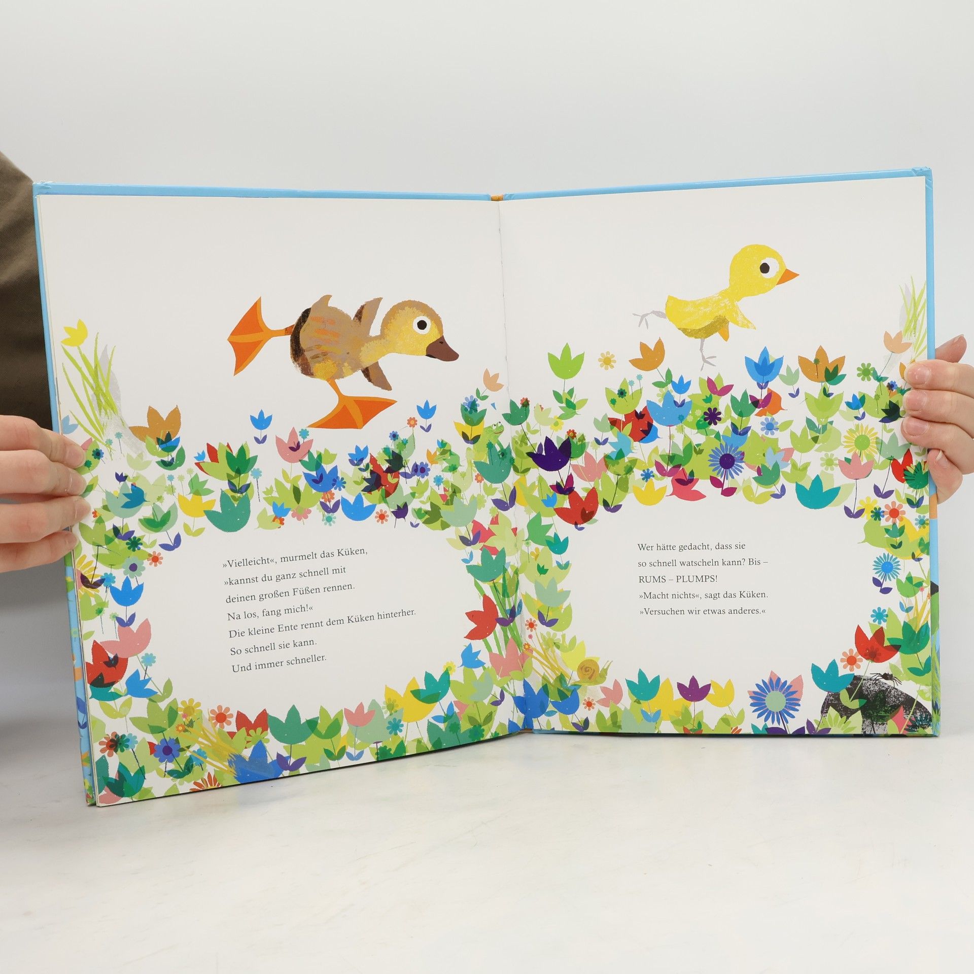 Britta Teckentrup Die kleine Ente mit den großen Füßen