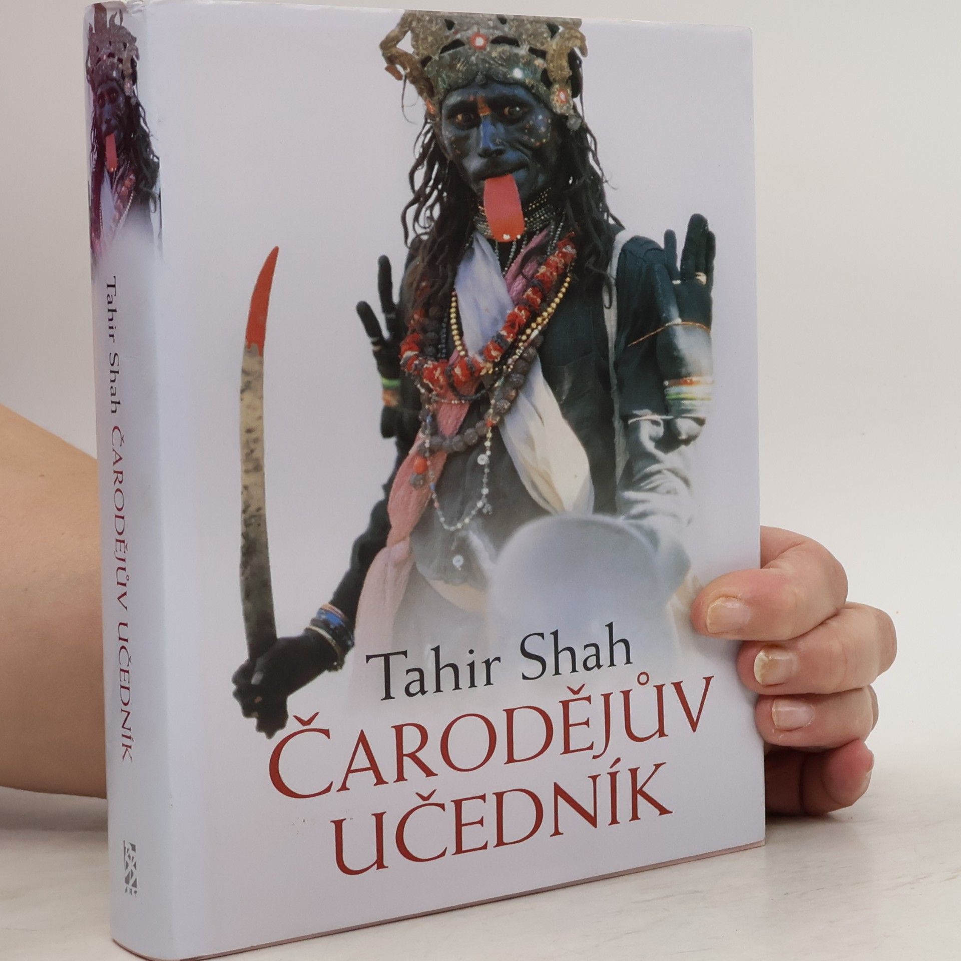 Čarodějův učedník