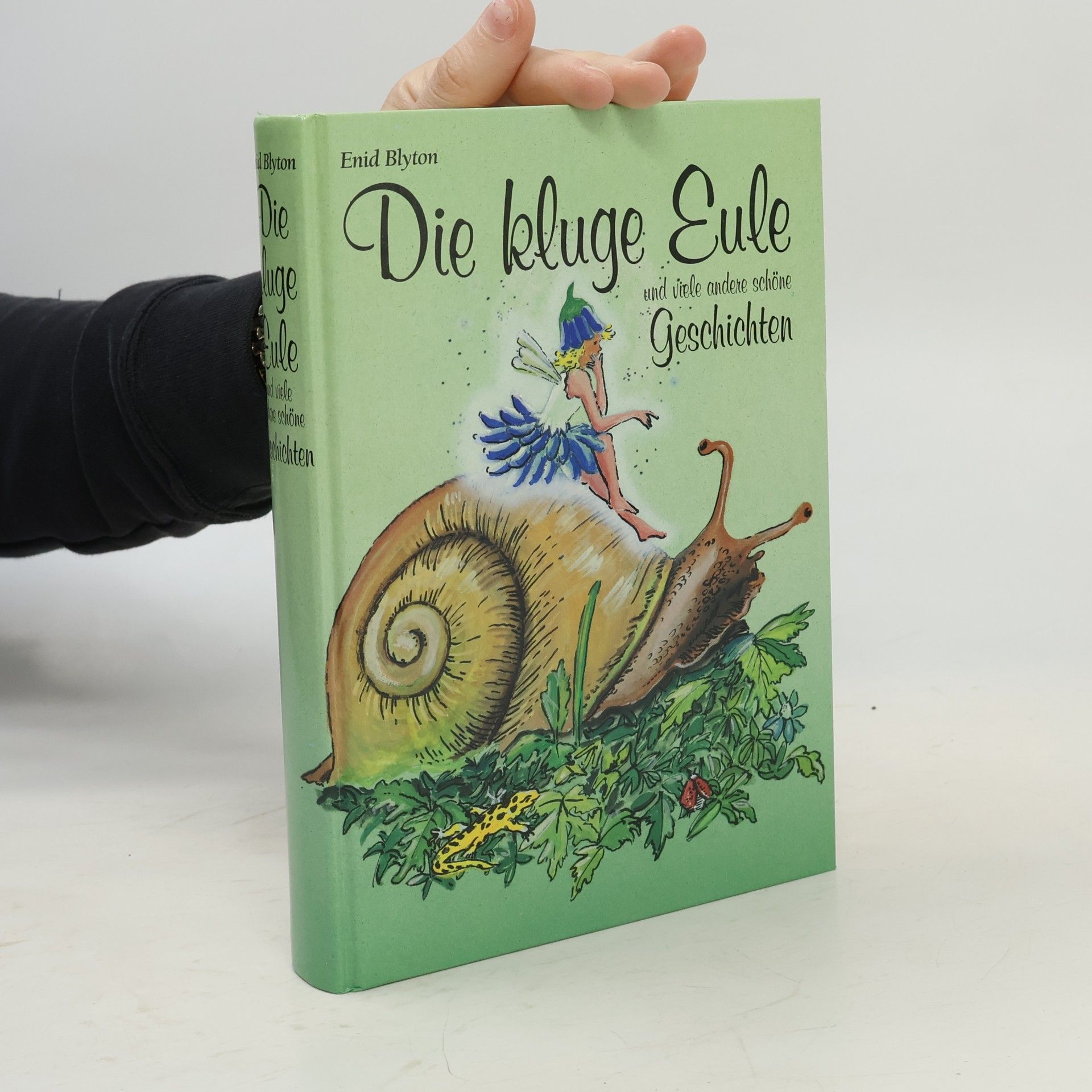Enid Blyton Die kluge Eule