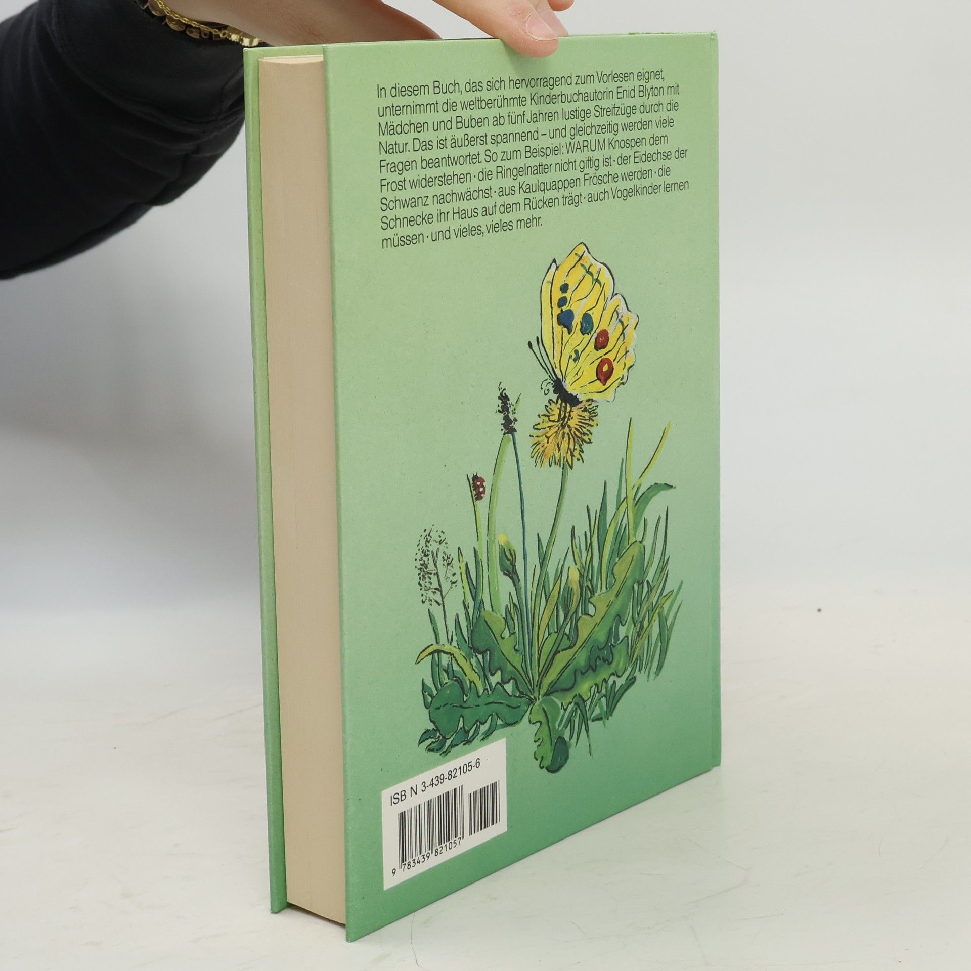Enid Blyton Die kluge Eule