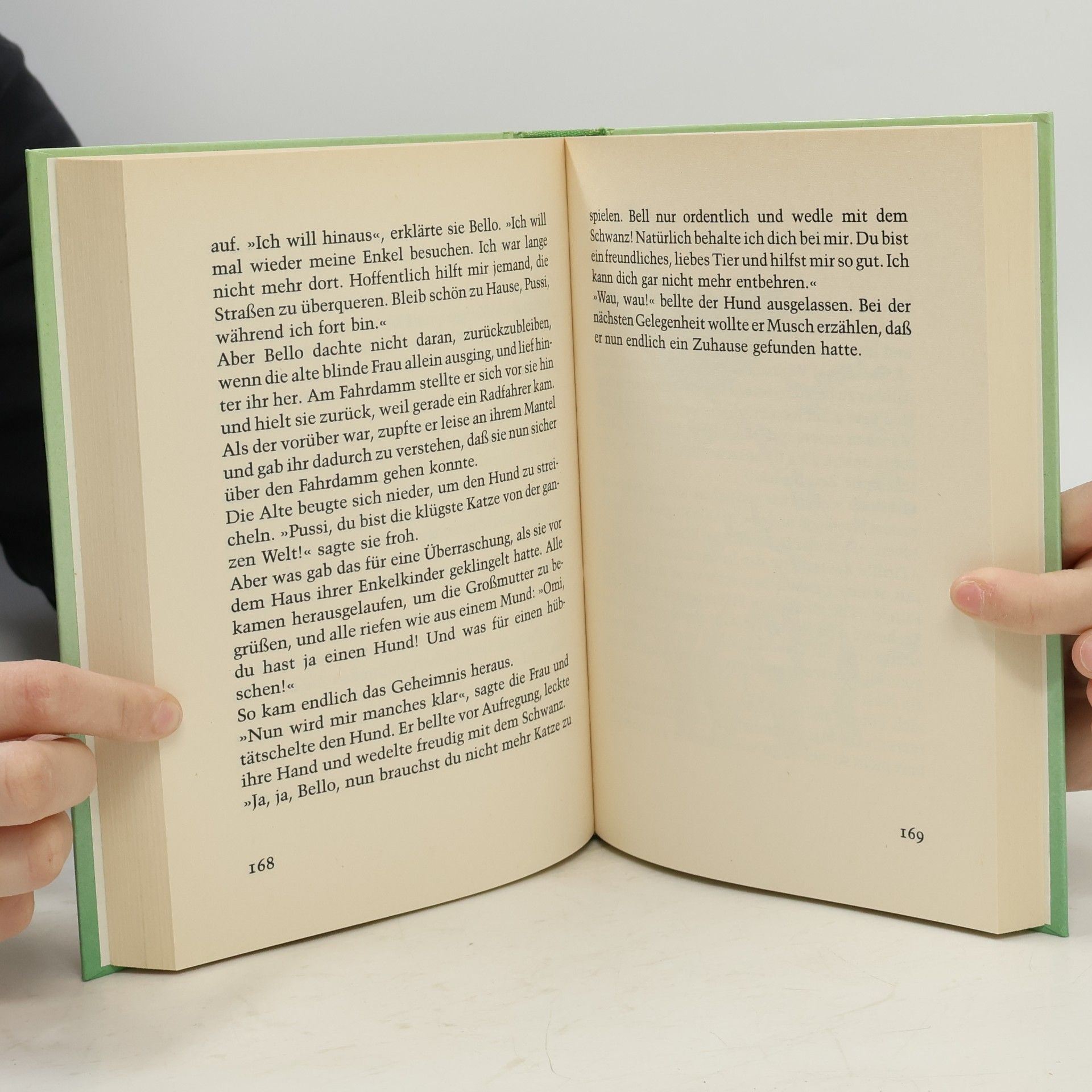 Enid Blyton Die kluge Eule