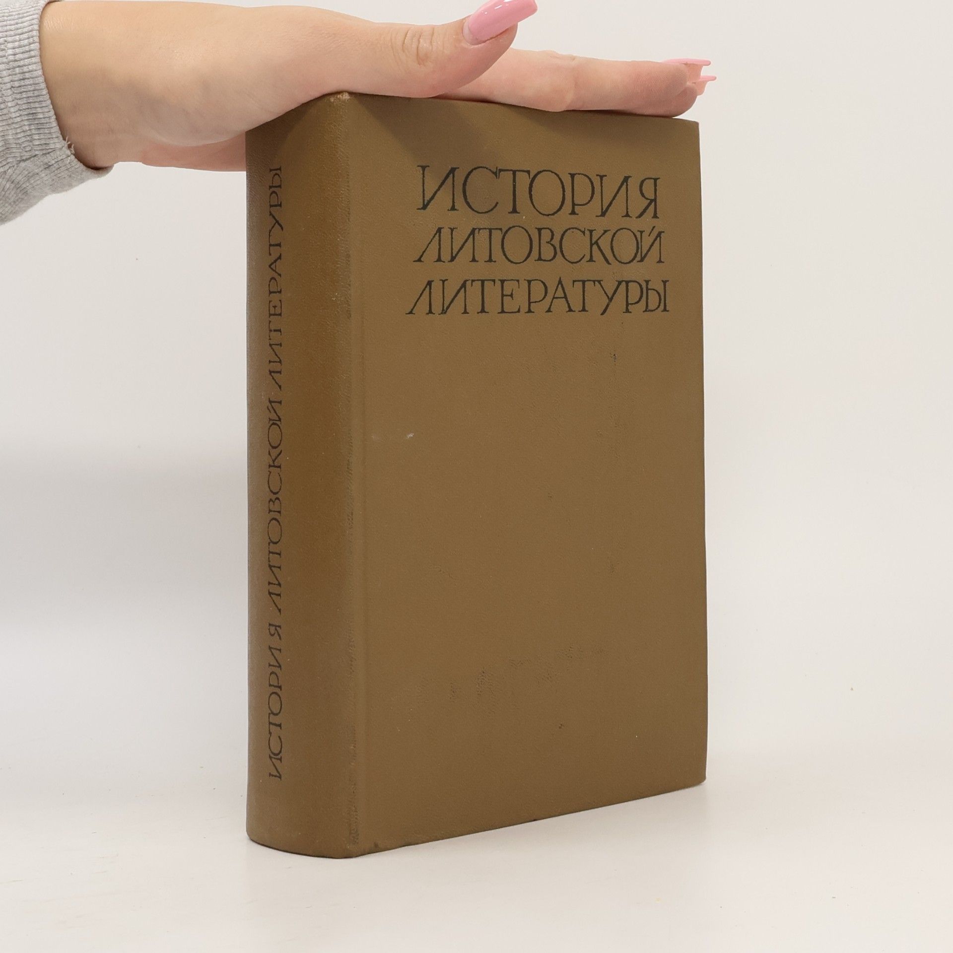 Kolektiv autorů История литовской литературы