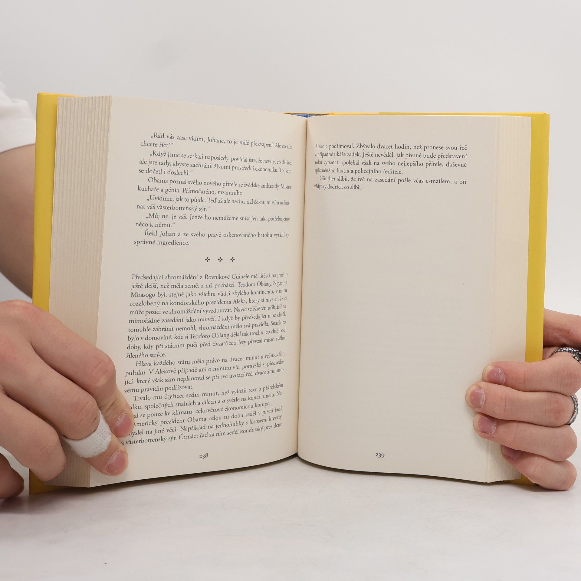 Jonas Jonasson Prorokyně a hlupák