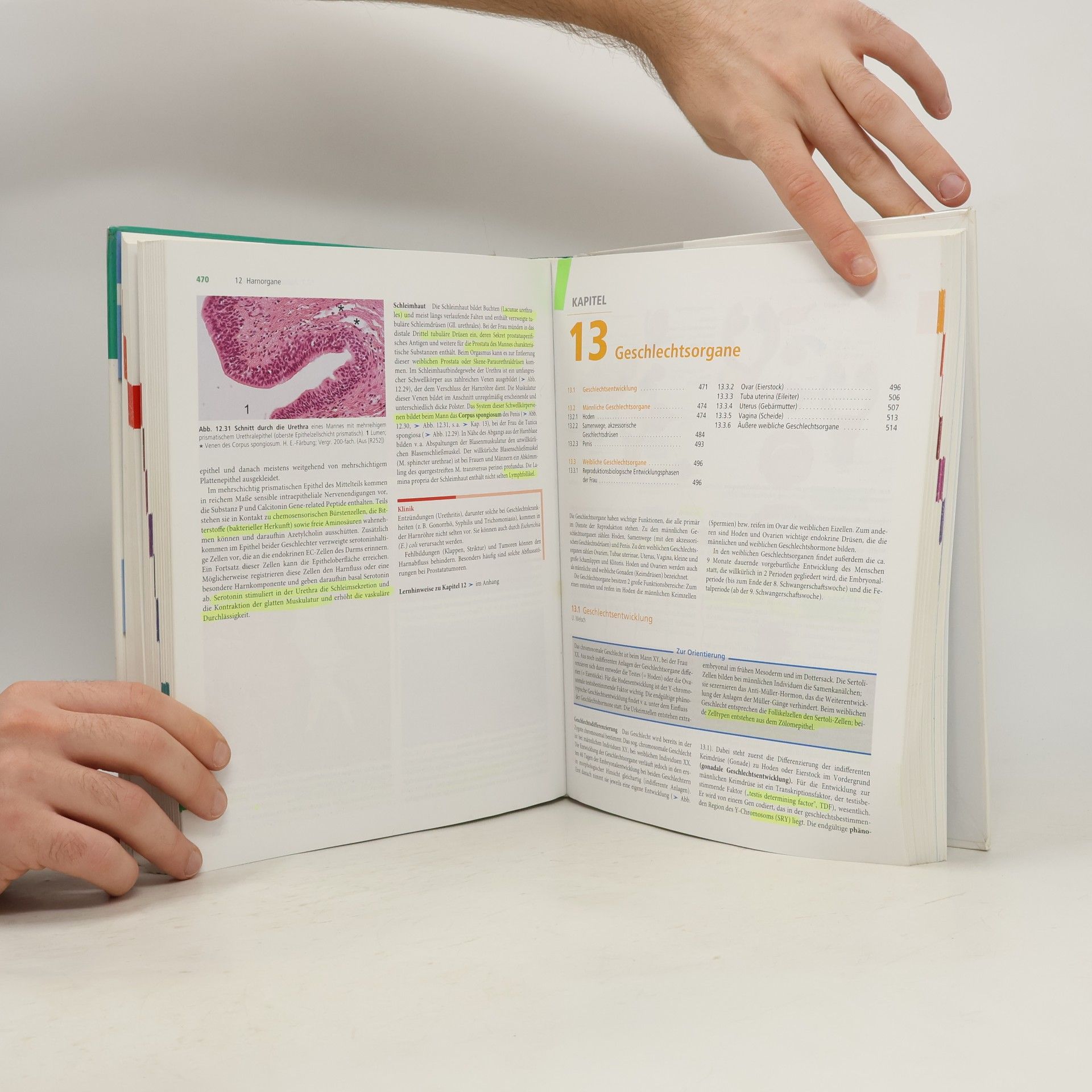 Ulrich Welsch Lehrbuch Histologie