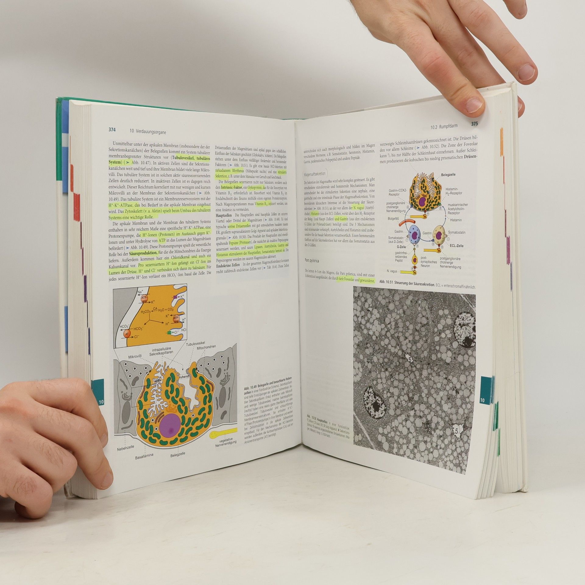 Ulrich Welsch Lehrbuch Histologie