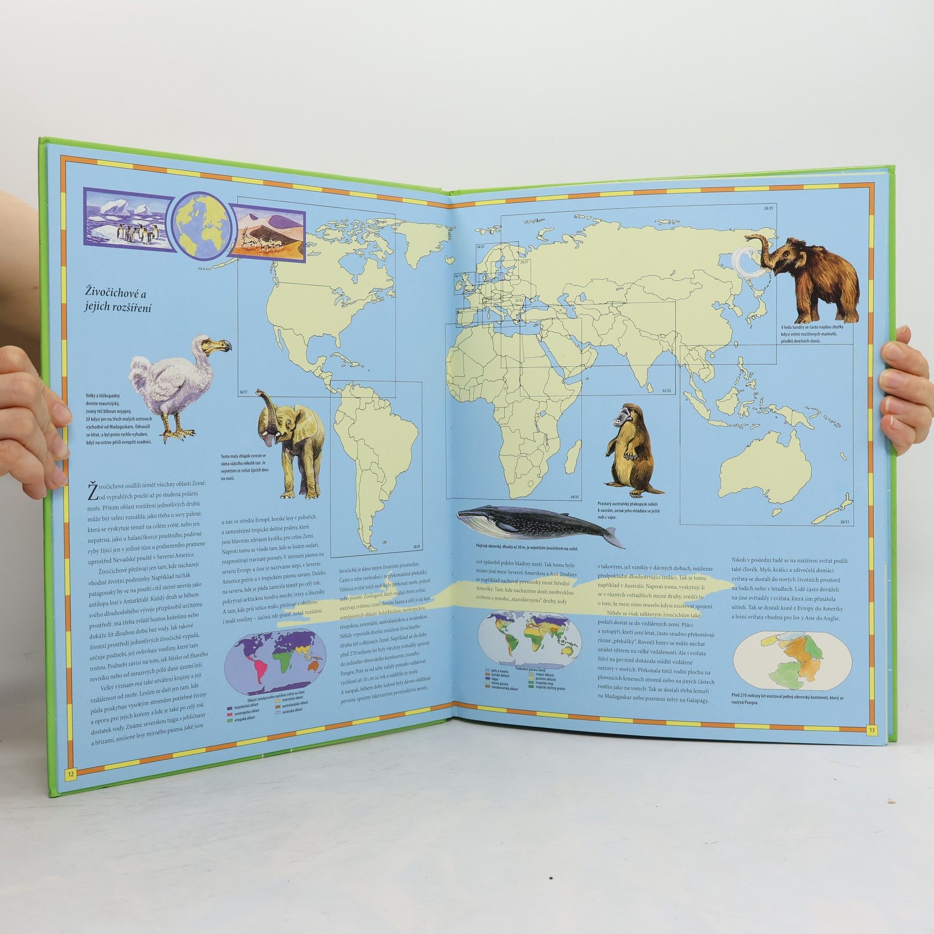 Autorenkollektiv Velký dětský atlas zvířat
