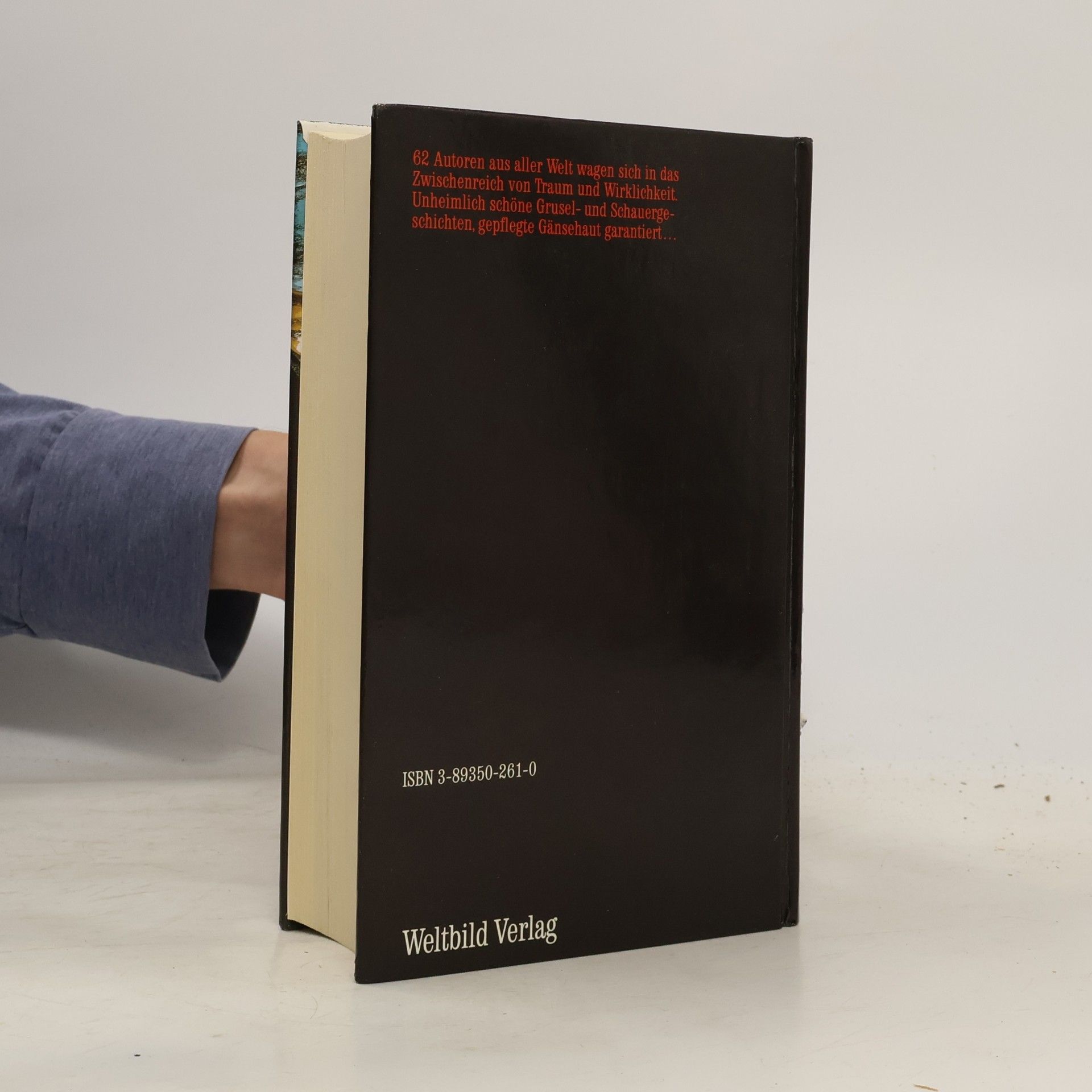 Autorenkollektiv Fantastische Geschichten der Weltliteratur