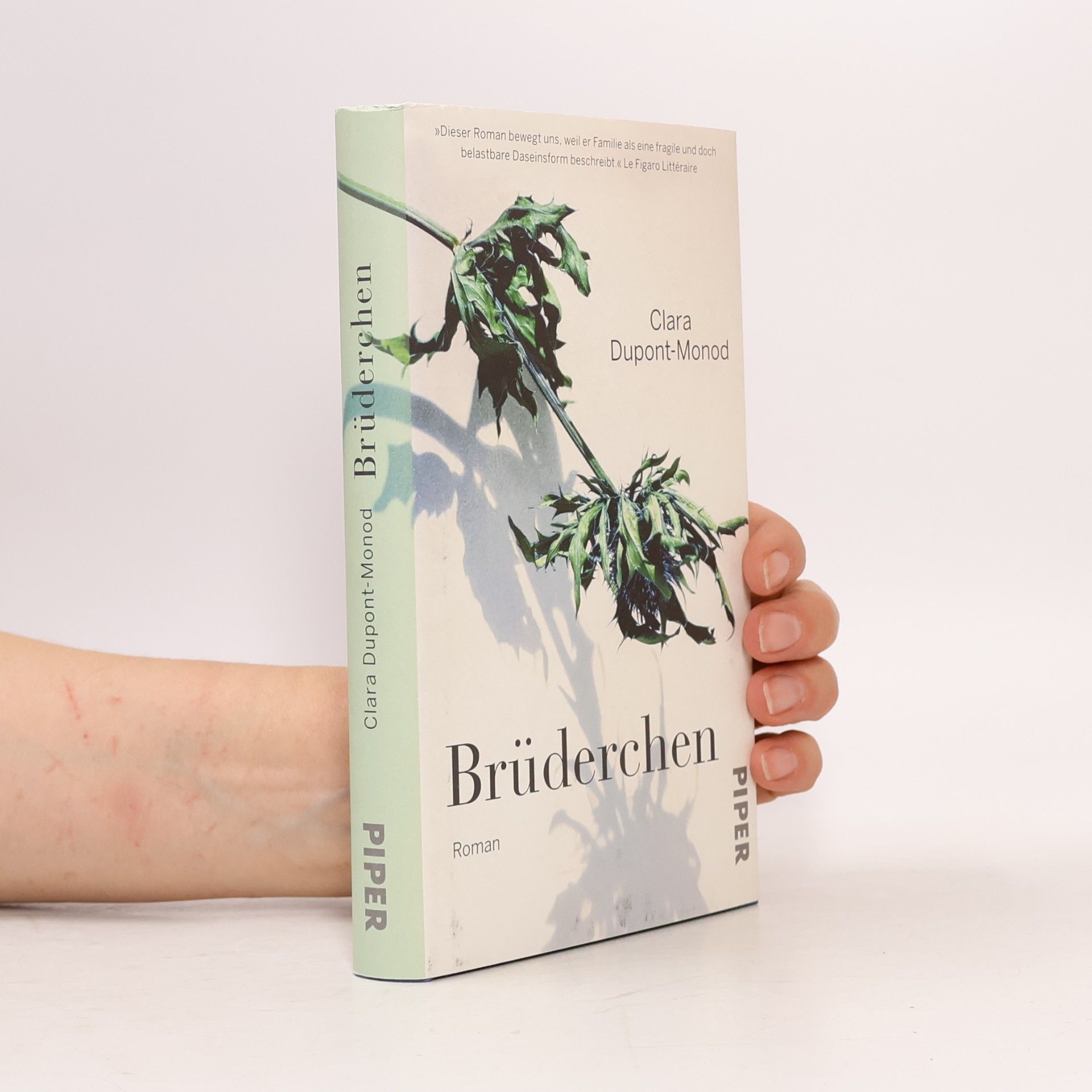Clara Dupont Monod Brüderchen