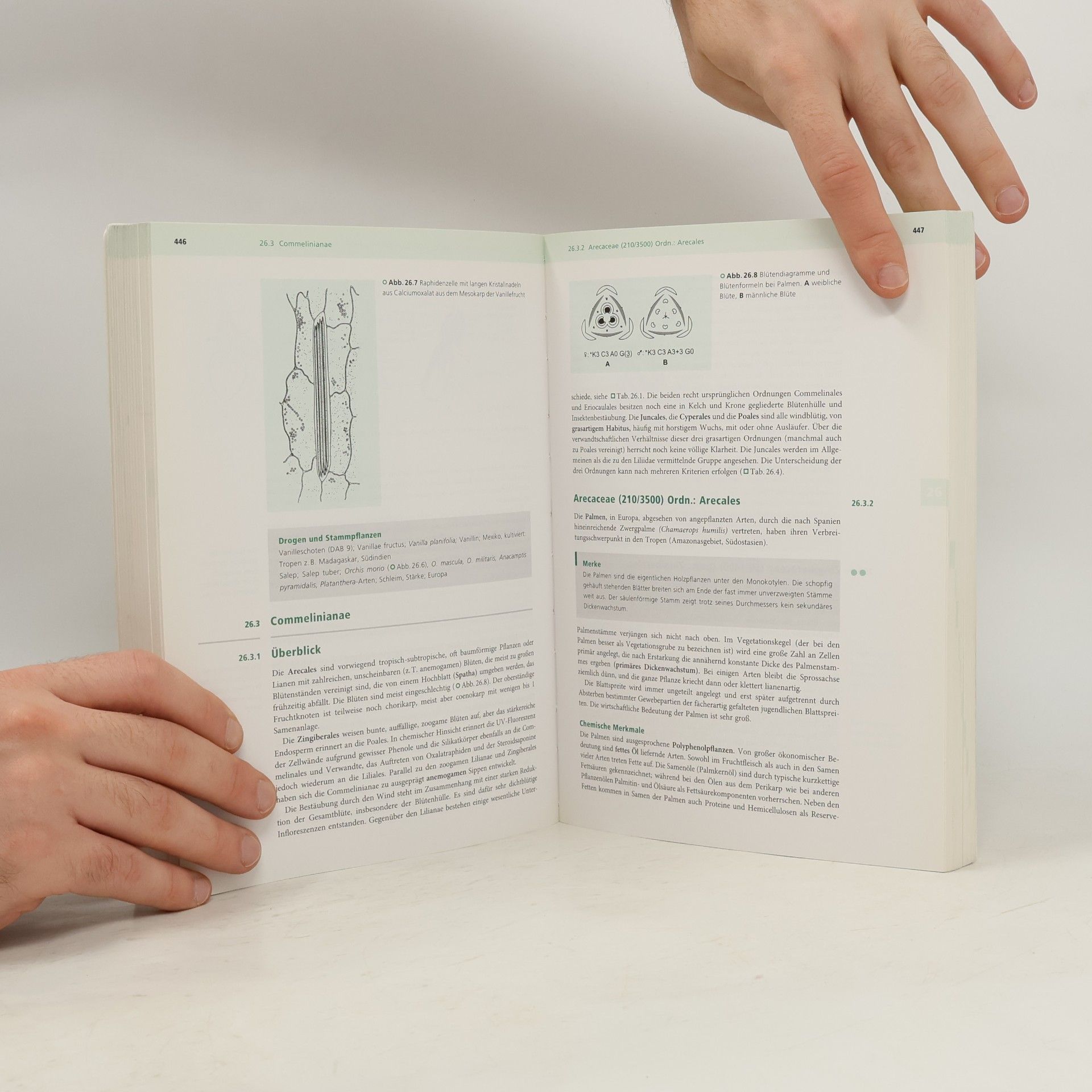 Eckhard Leistner Pharmazeutische Biologie