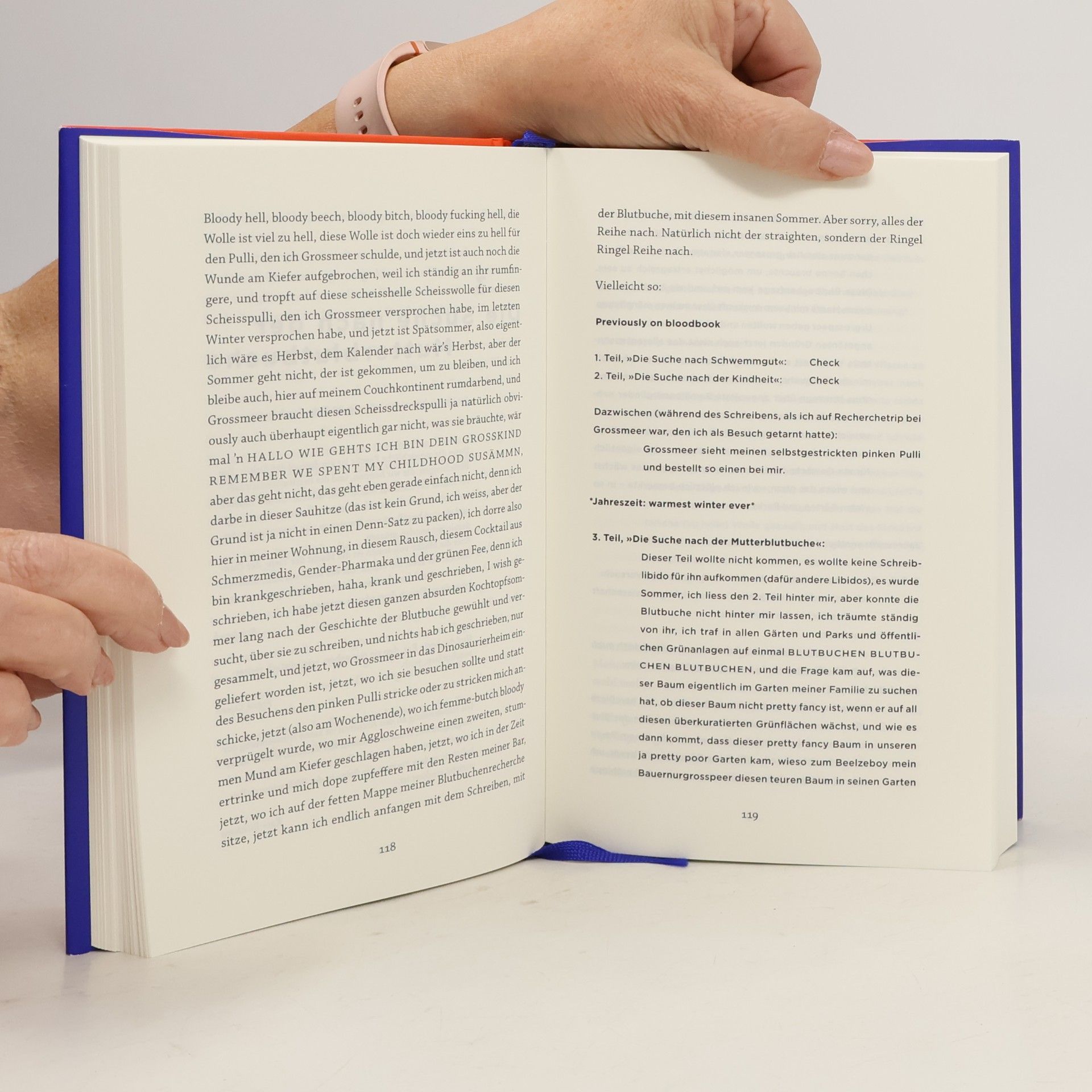 Kim de l. Horizon Blutbuch