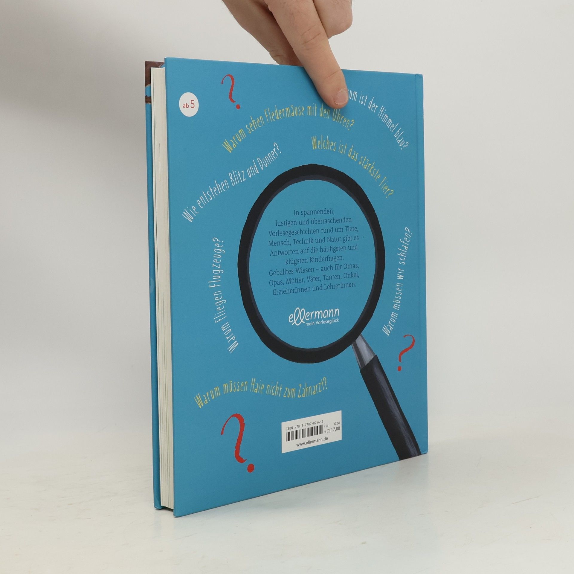 Petra Maria Schmitt Das große Buch der Kinderfragen