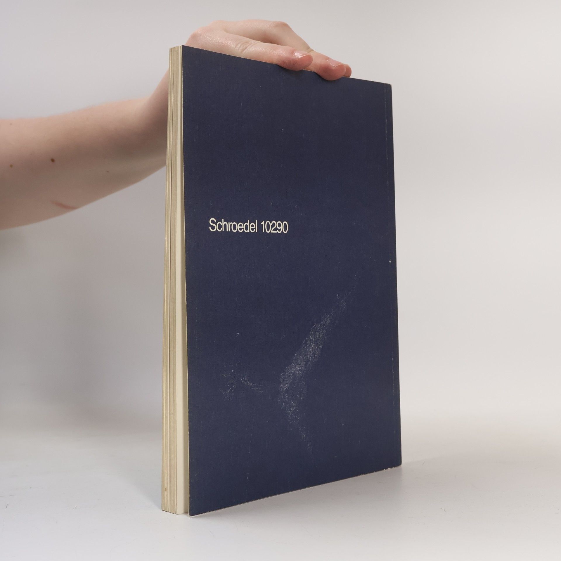 Gisela Raupach-Strey Materialien für den Sekundarbereich II Philosophie: Philosophieren anfangen