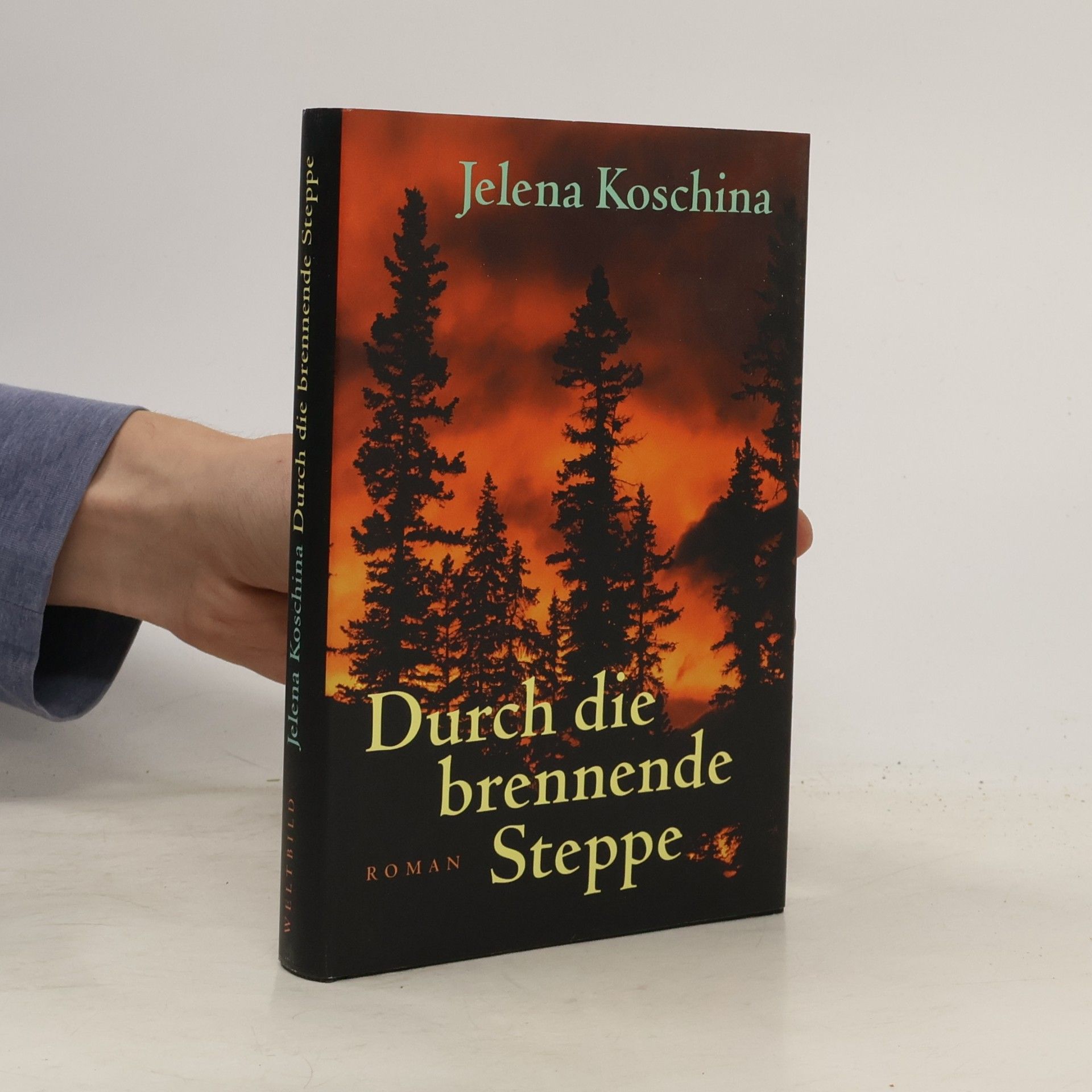 Elena F. Koz ina Durch die brennende Steppe