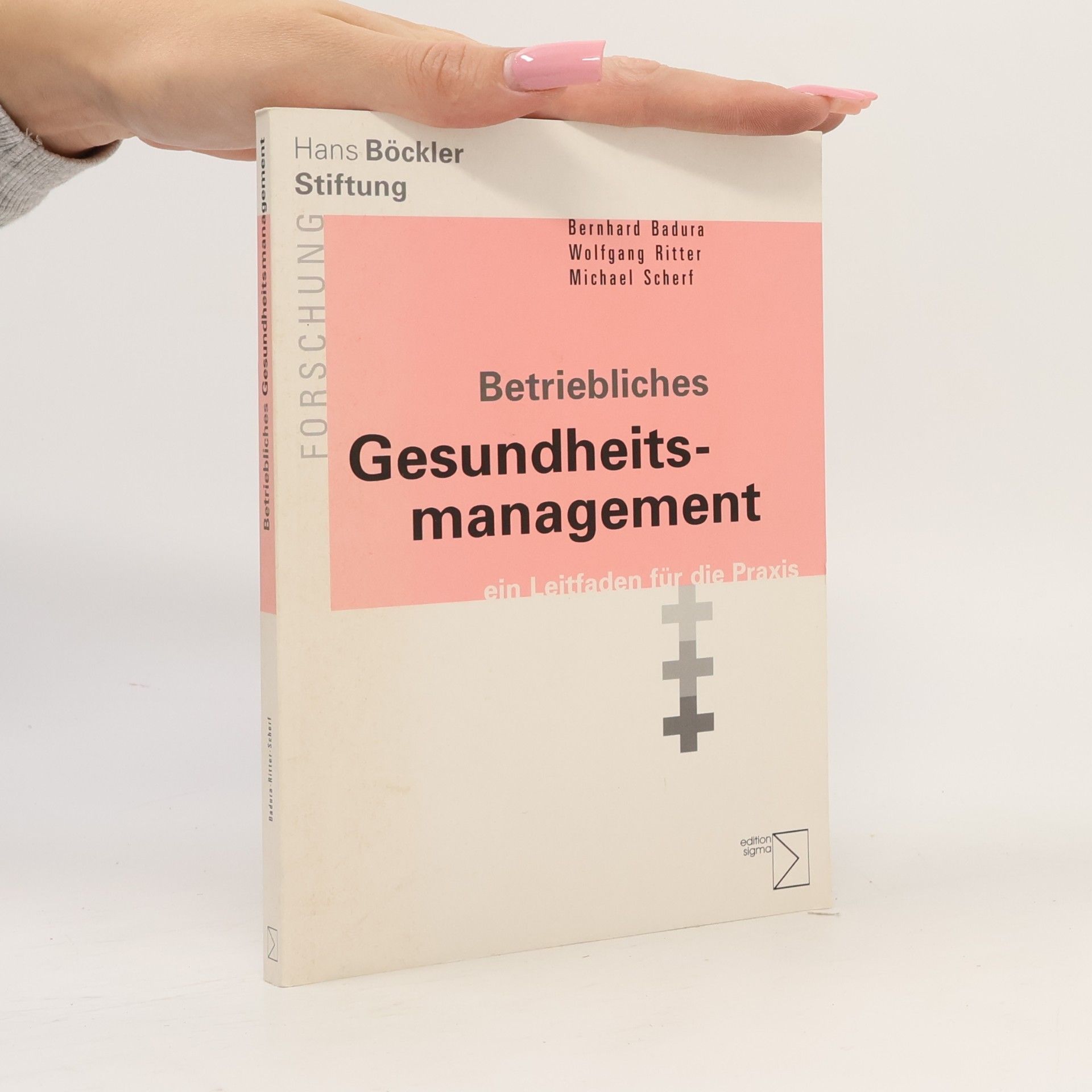 Michael Scherf Betriebliches Gesundheitsmanagement