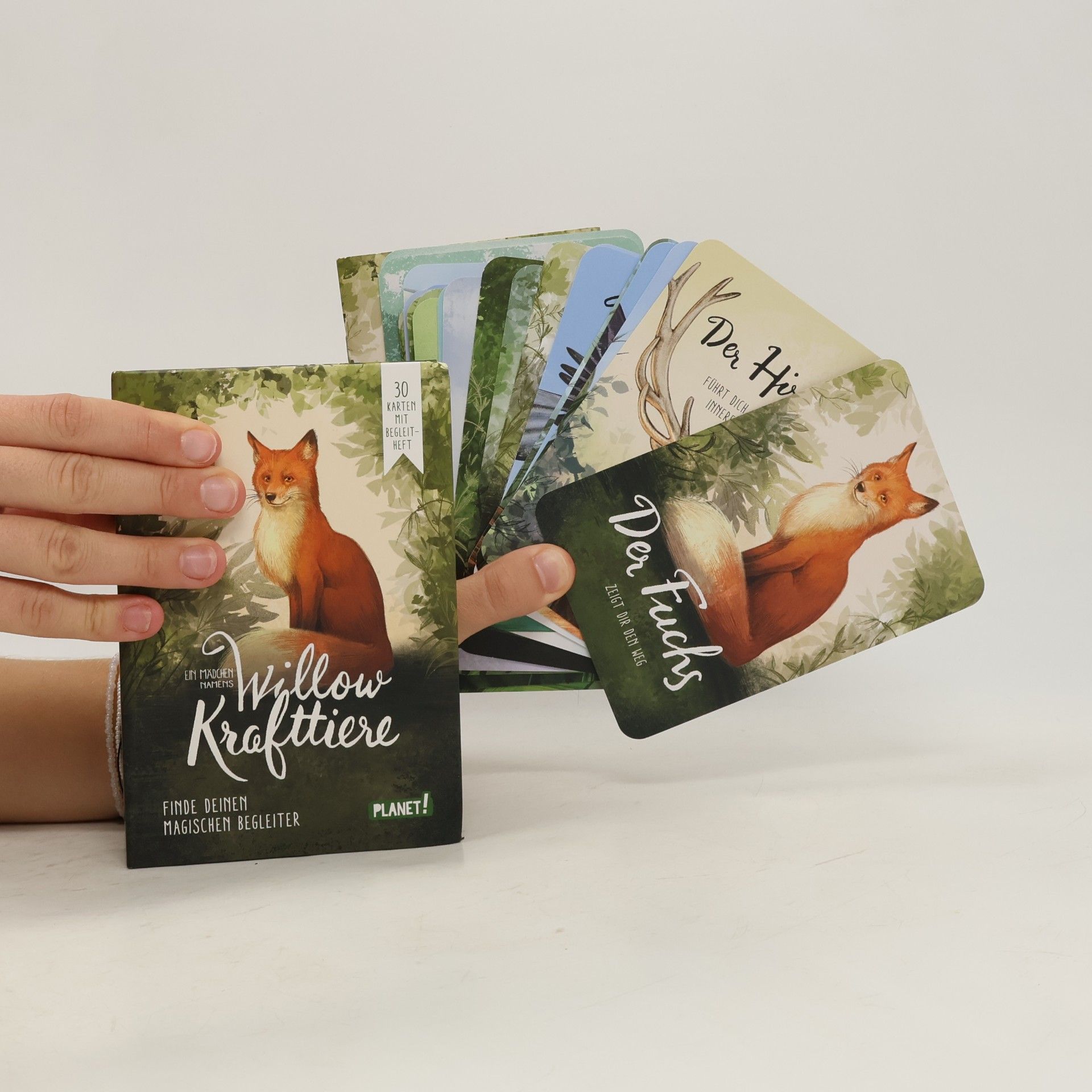 Sabine Bohlmann Ein Mädchen namens Willow: Krafttiere