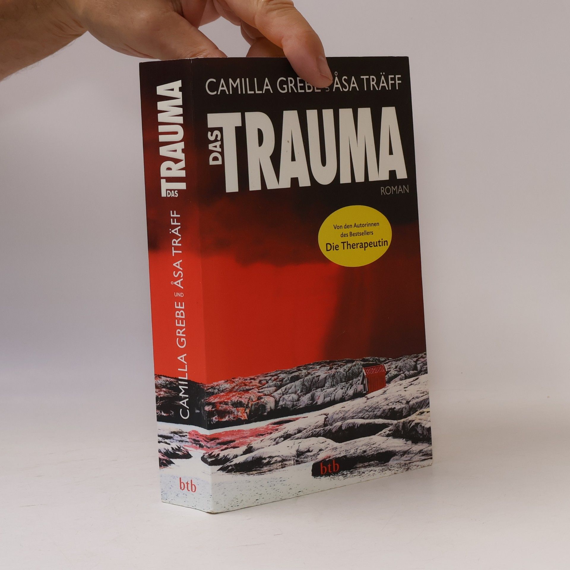 Camilla Grebe Das Trauma