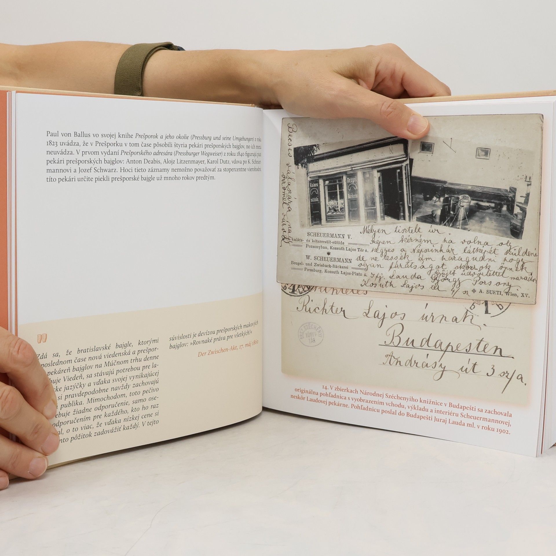 Autorenkollektiv 400 ročná legenda historia Bratislavských Rožkov