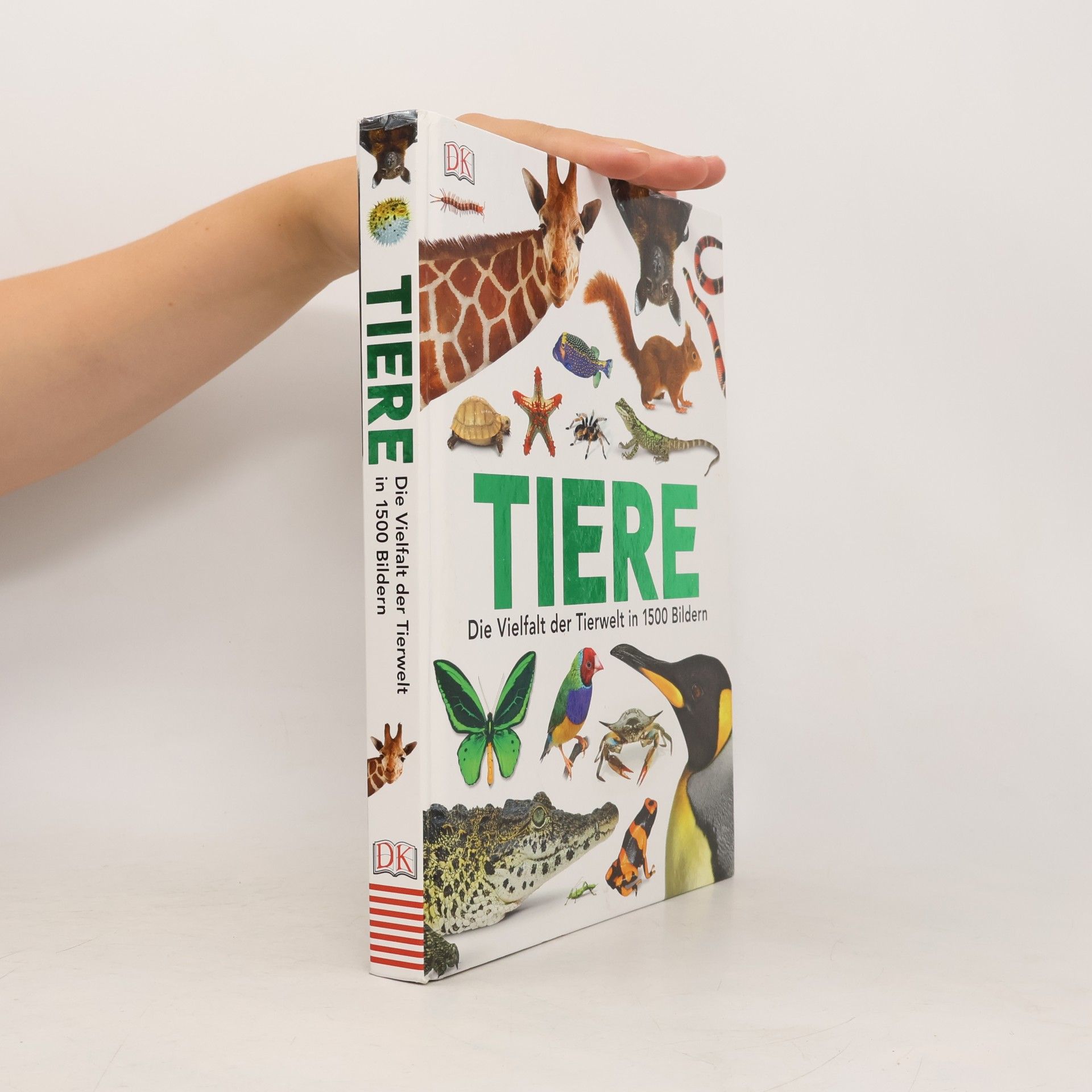 Tiere