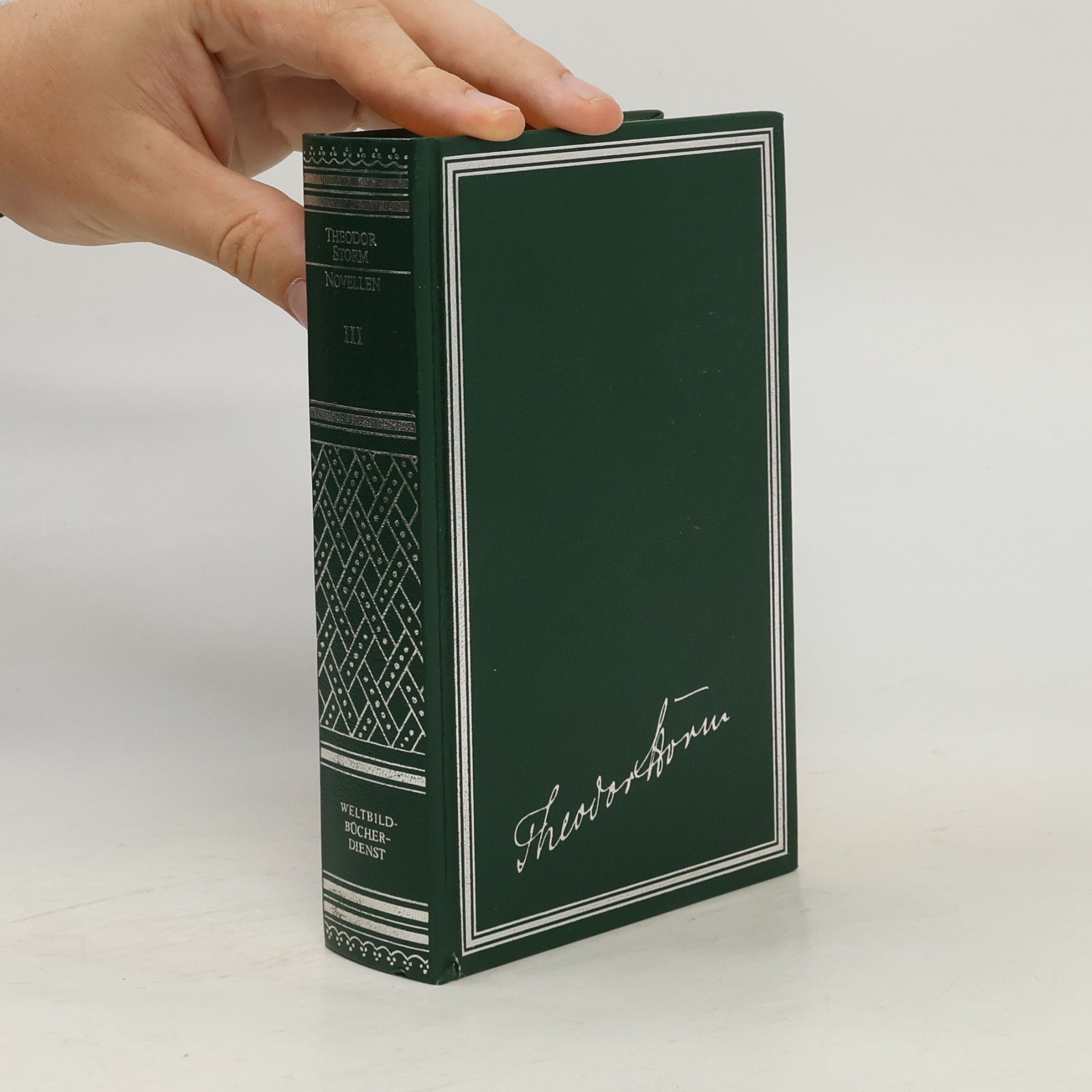 Theodor Storm Novellen III