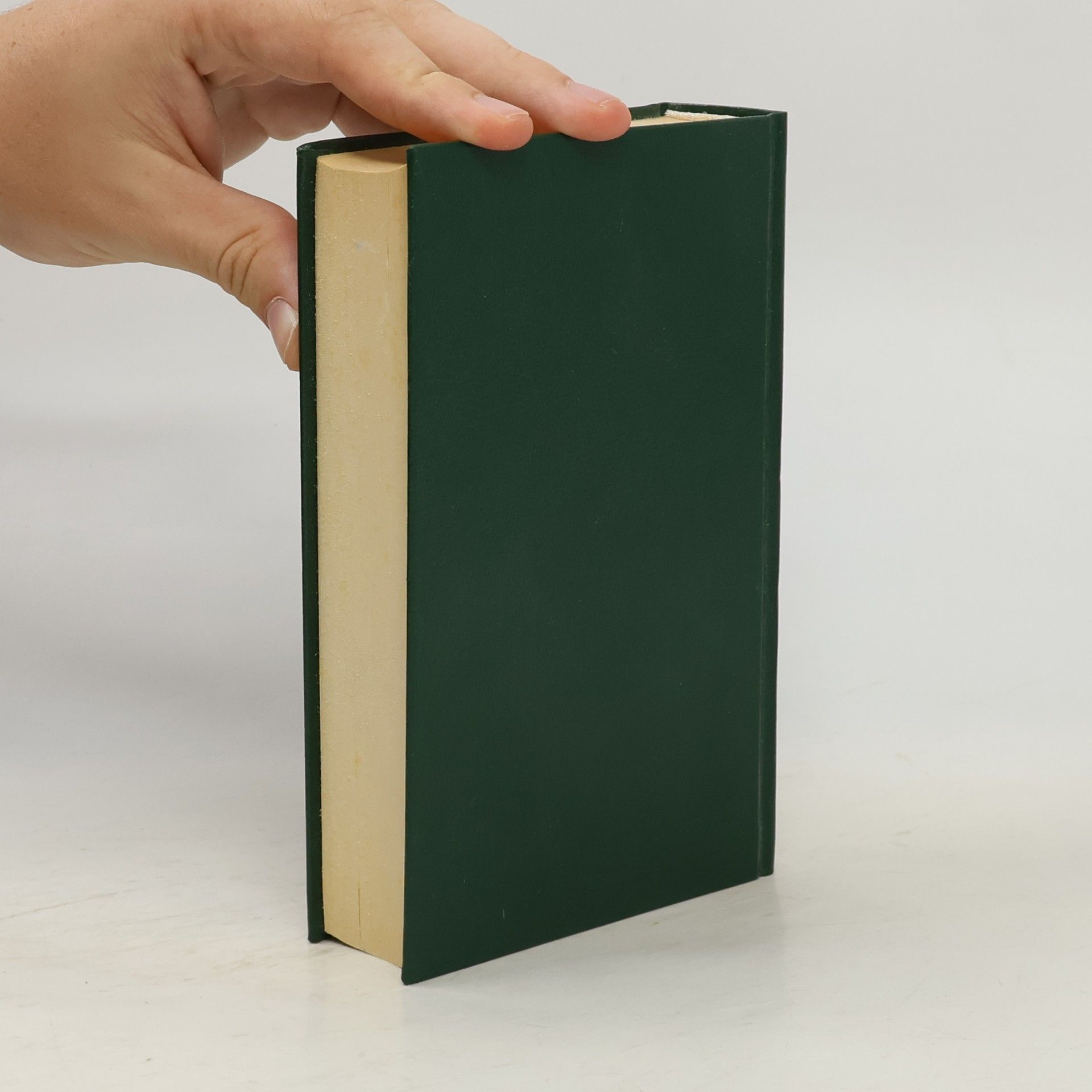 Theodor Storm Novellen III