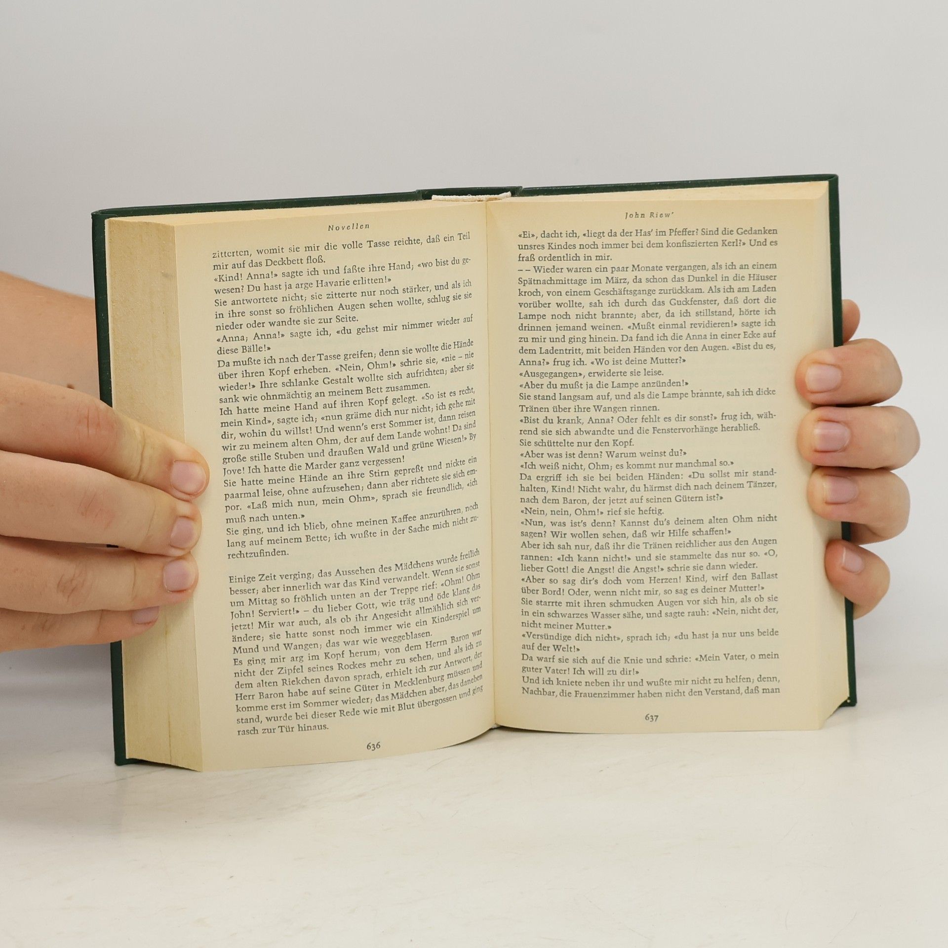 Theodor Storm Novellen III