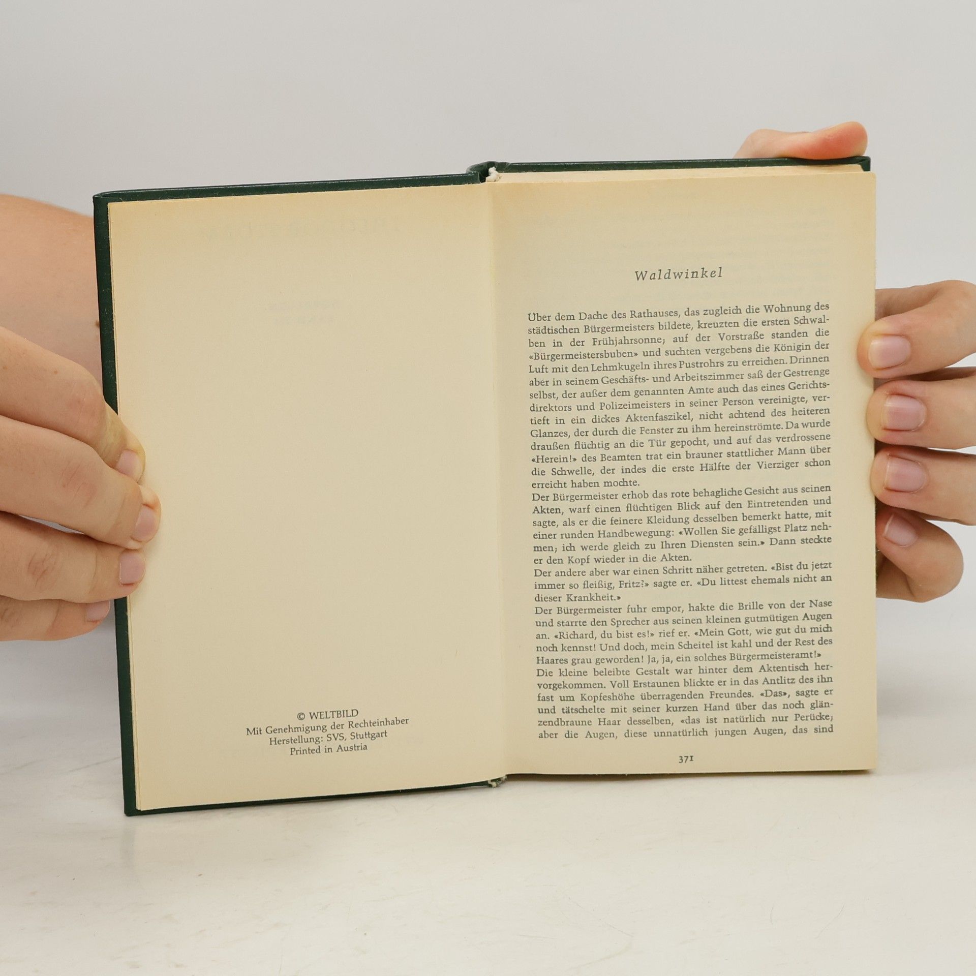 Theodor Storm Novellen III