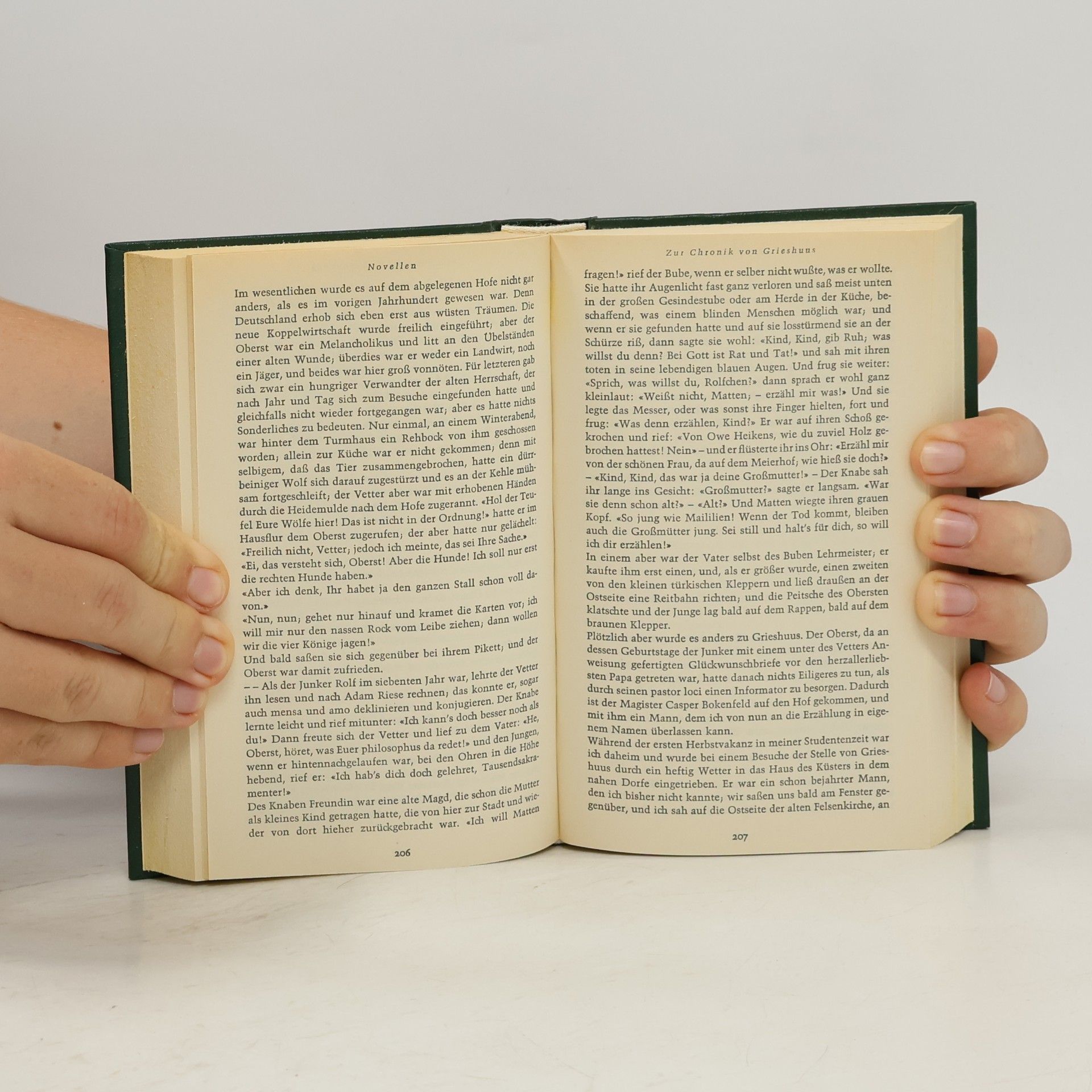 Theodor Storm Novellen I.