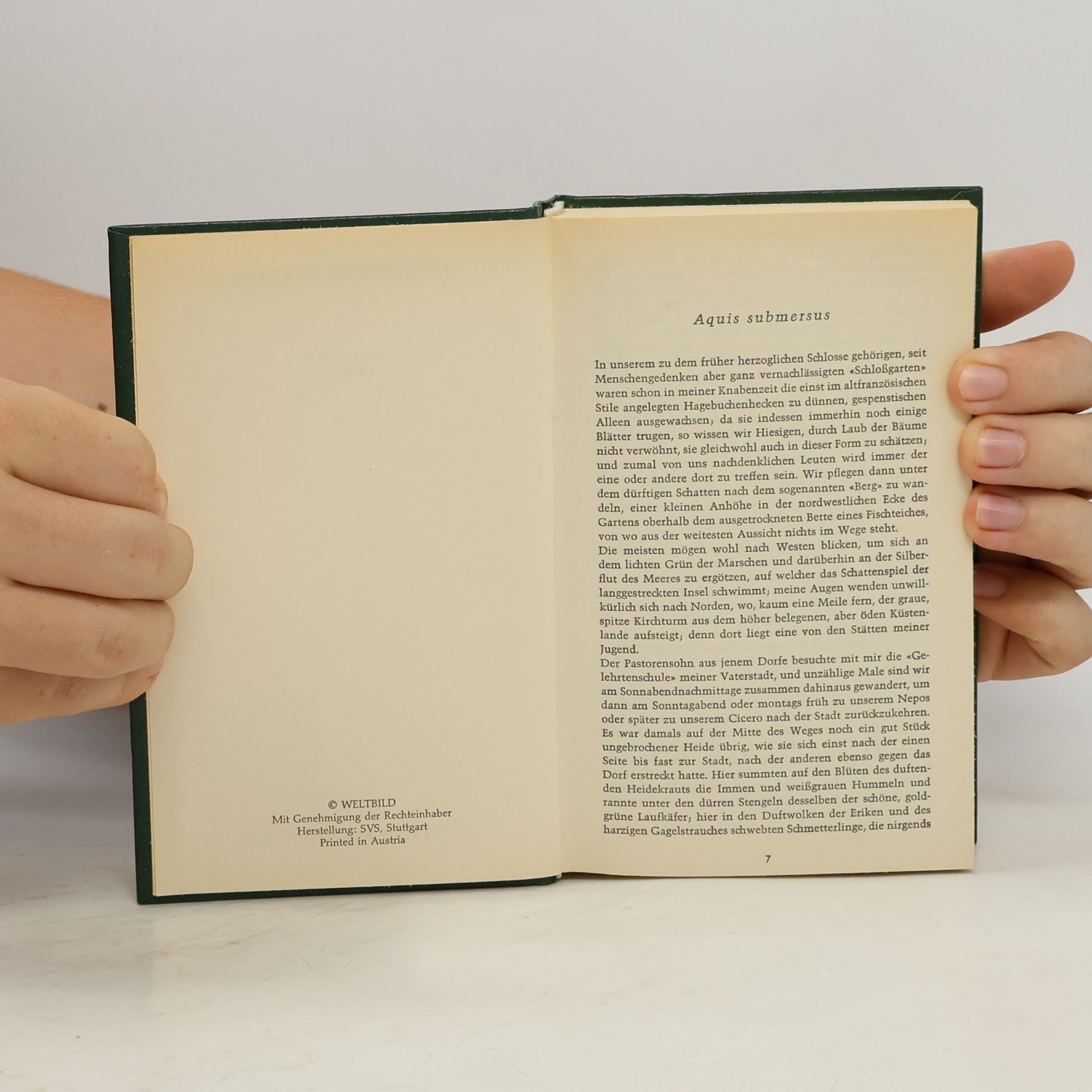 Theodor Storm Novellen I.