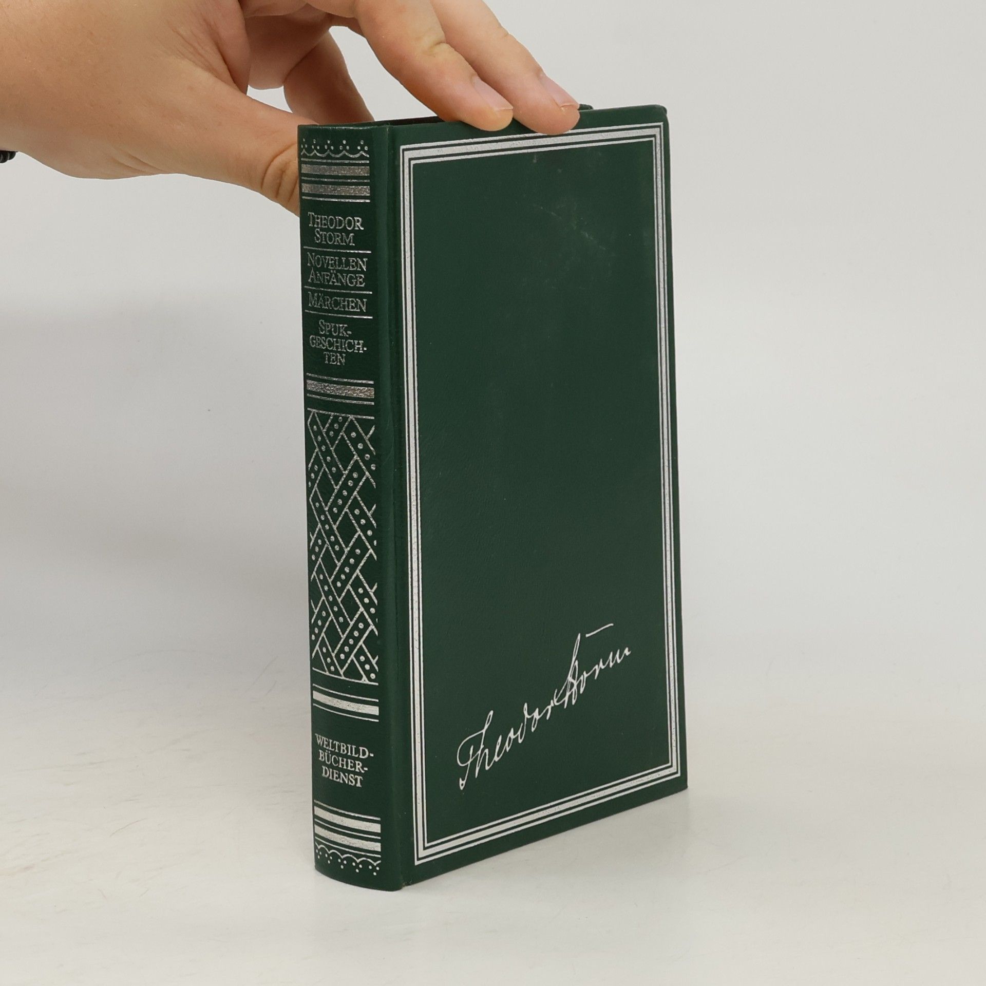 Theodor Storm Novellen Anfänge. Märchen. Spukgeschichten
