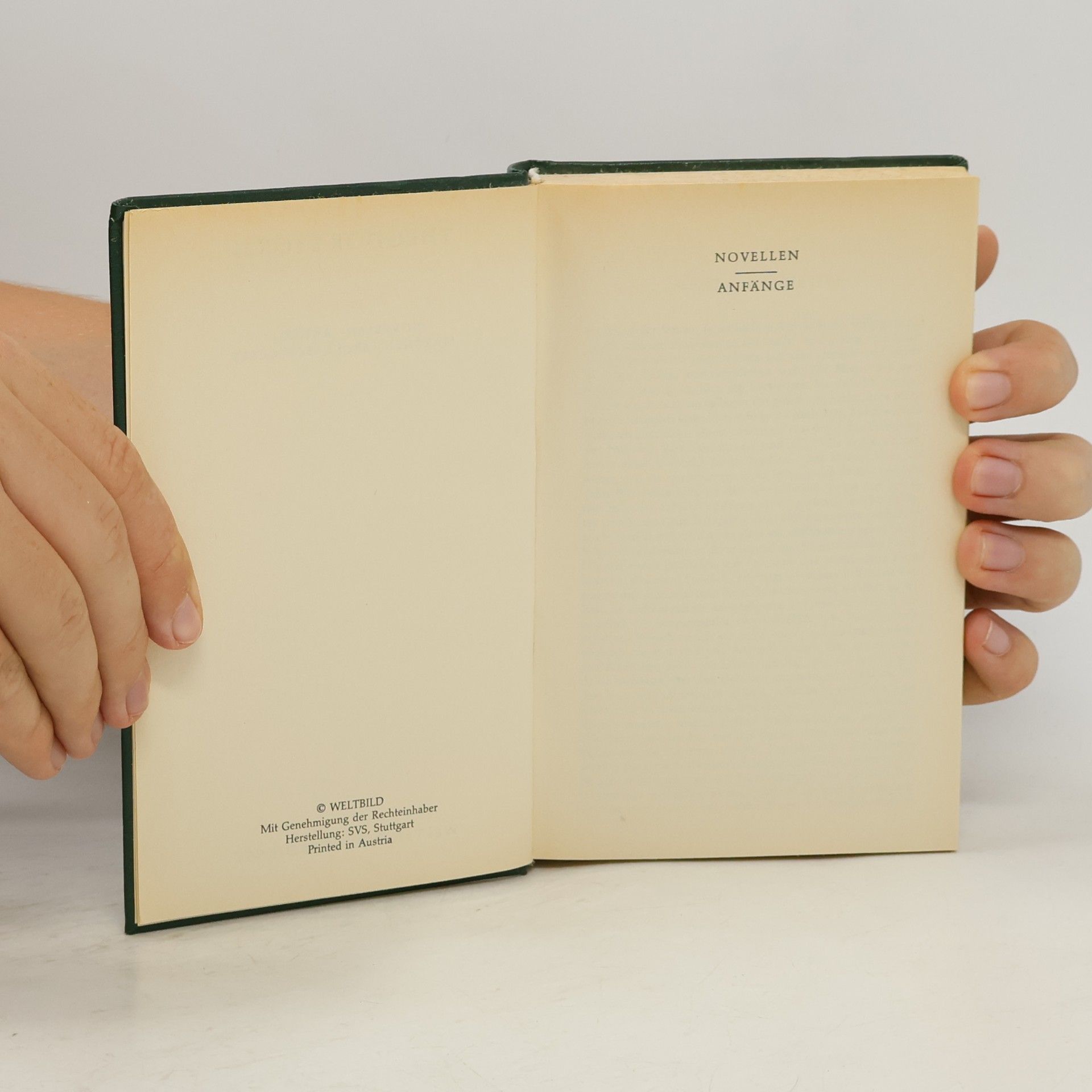 Theodor Storm Novellen Anfänge. Märchen. Spukgeschichten