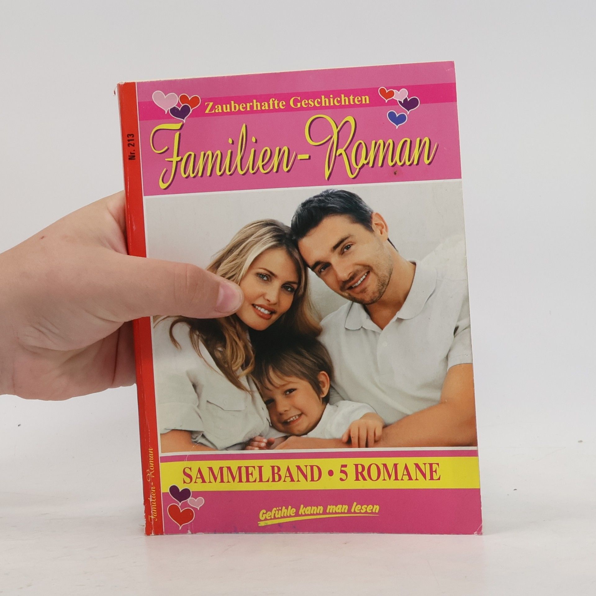 kolektiv Familien-Roman 213