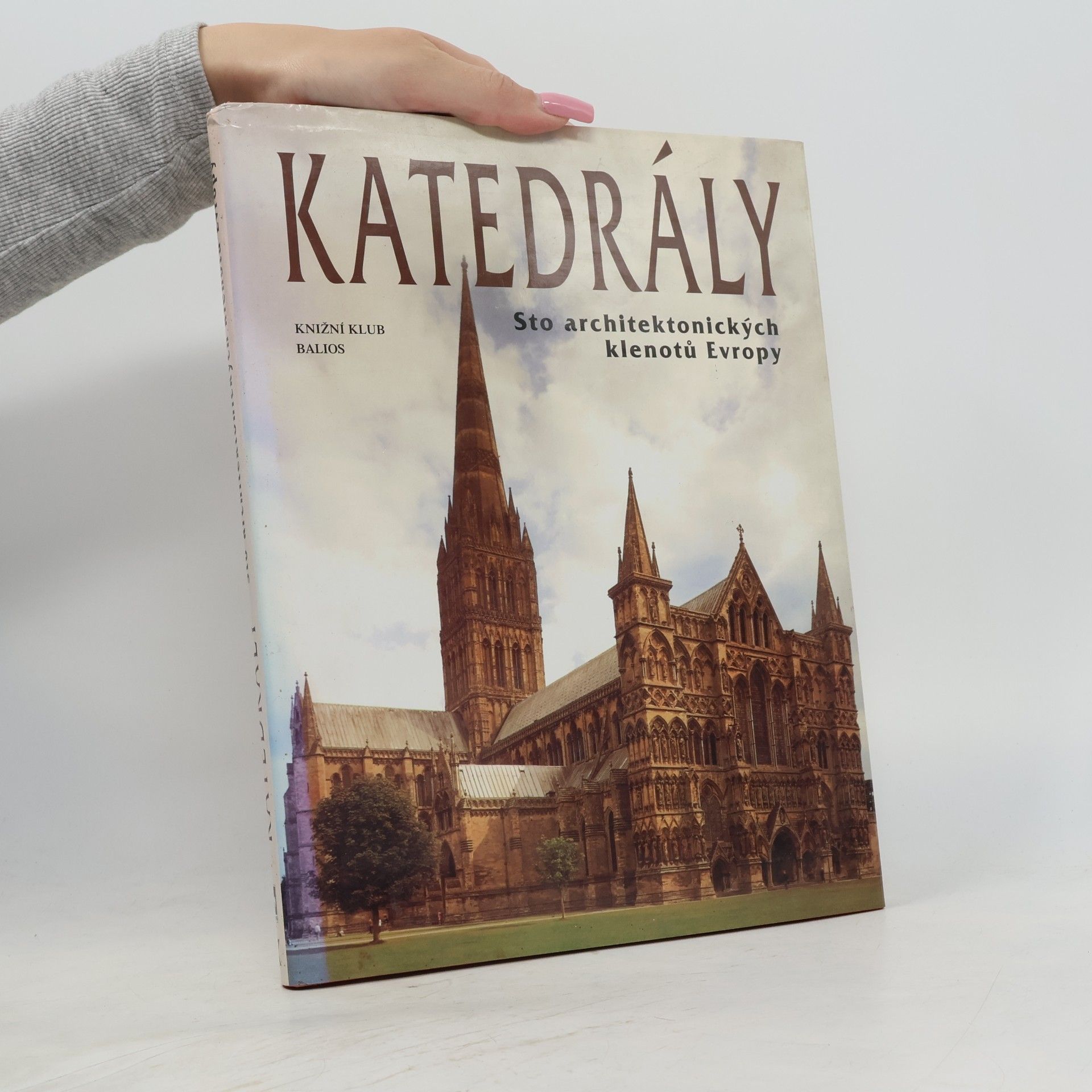 Autorenkollektiv Katedrály : sto architektonických klenotů Evropy