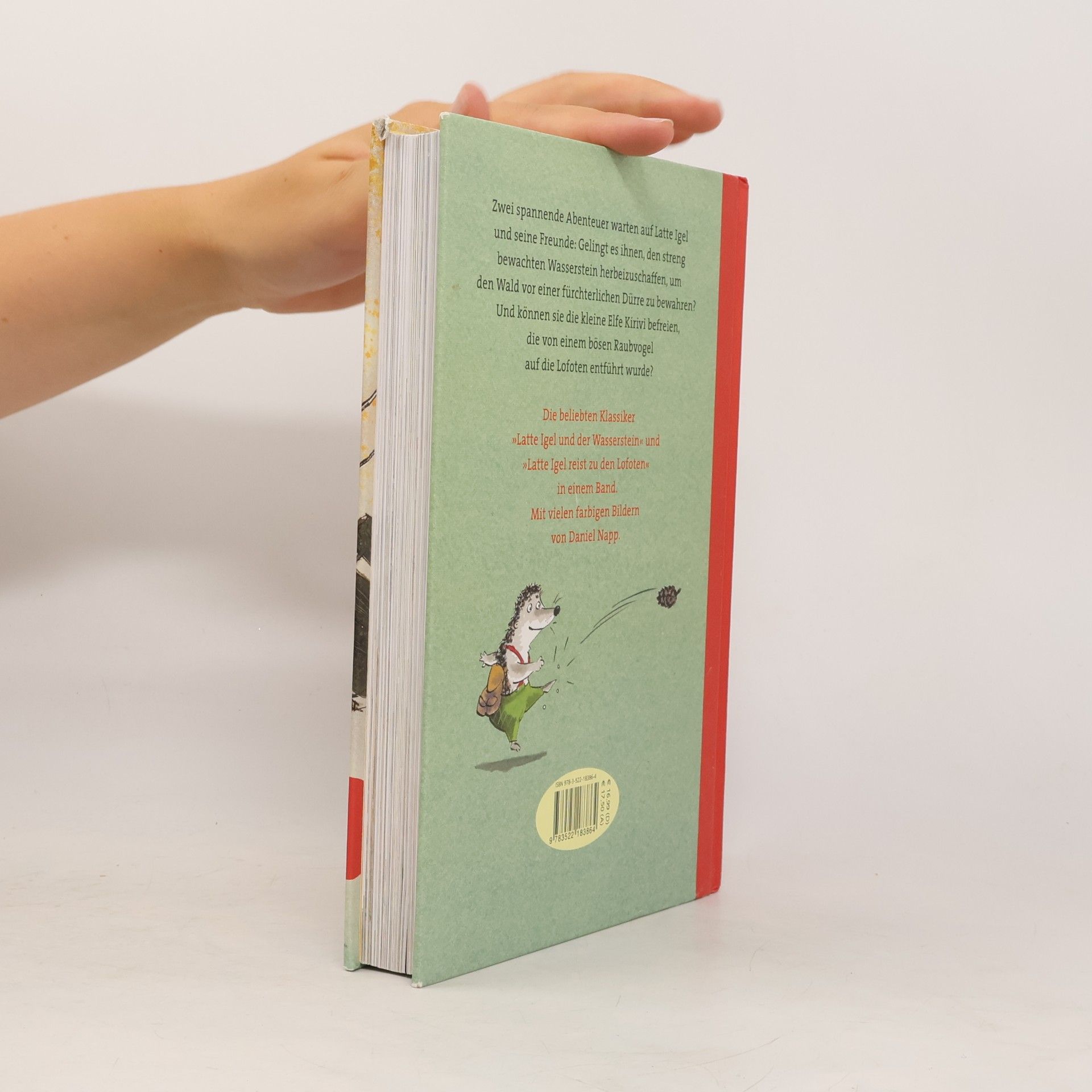 Sebastian Lybeck Das große Latte-Igel-Buch
