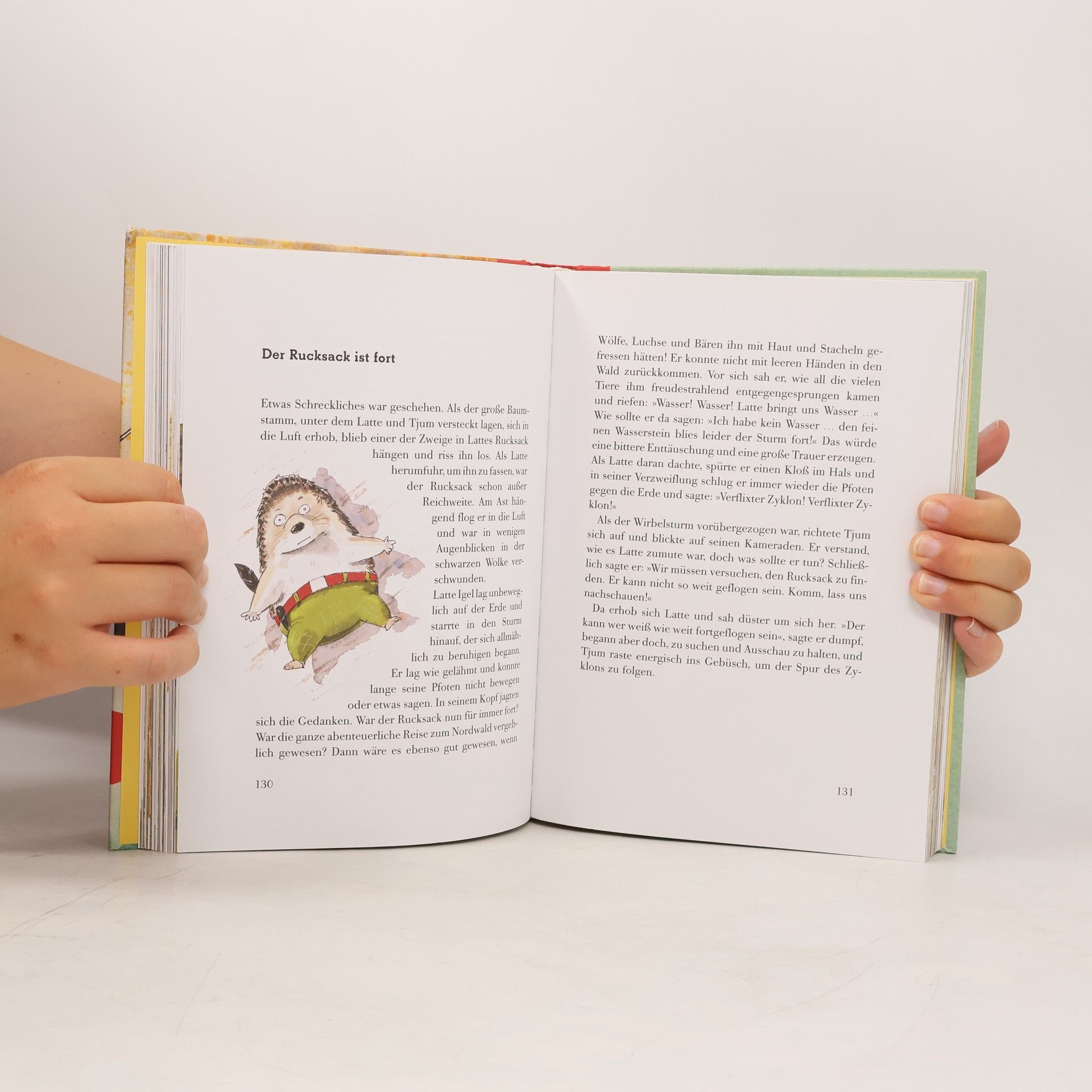 Sebastian Lybeck Das große Latte-Igel-Buch