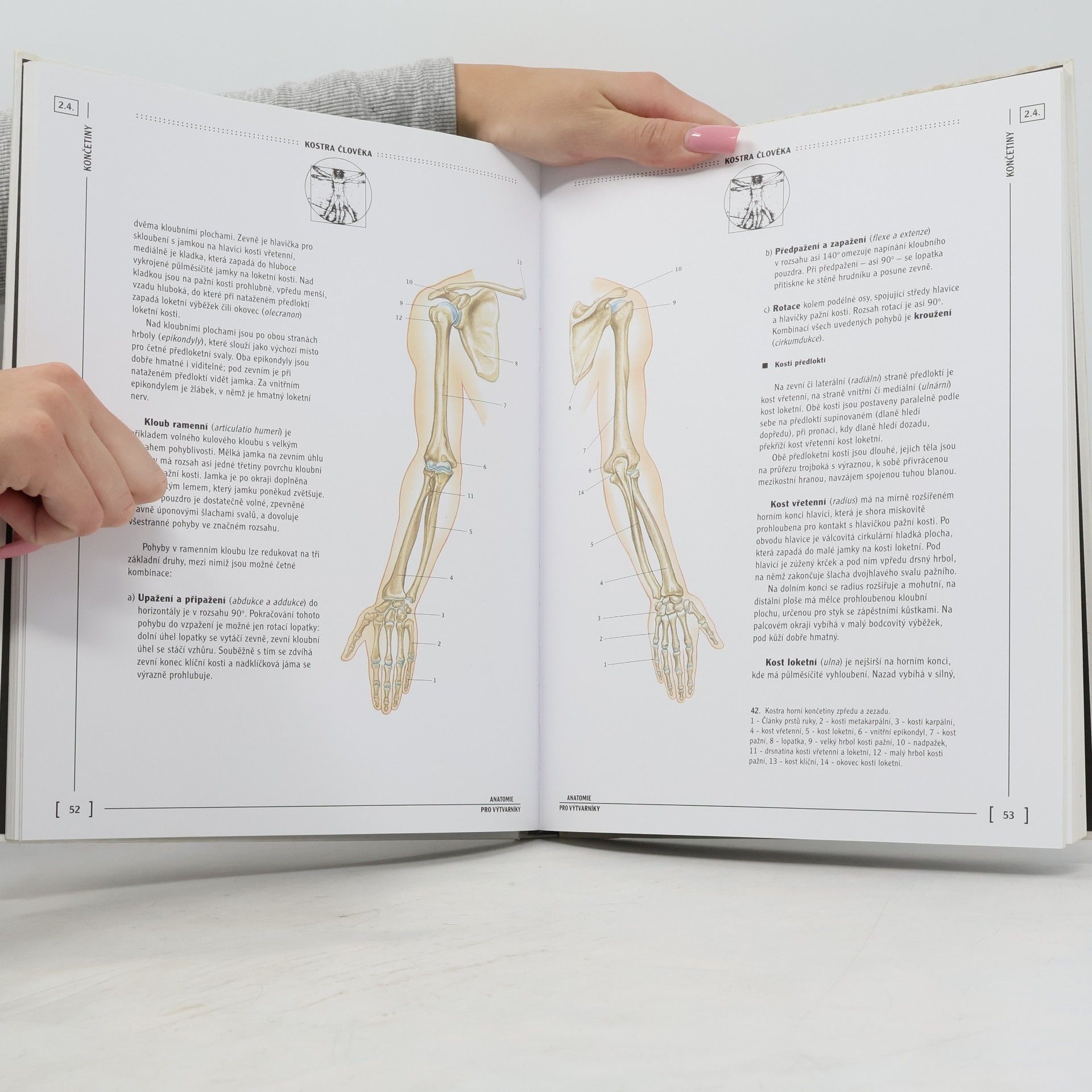 Jaroslav Kos Anatomie člověka pro výtvarníky