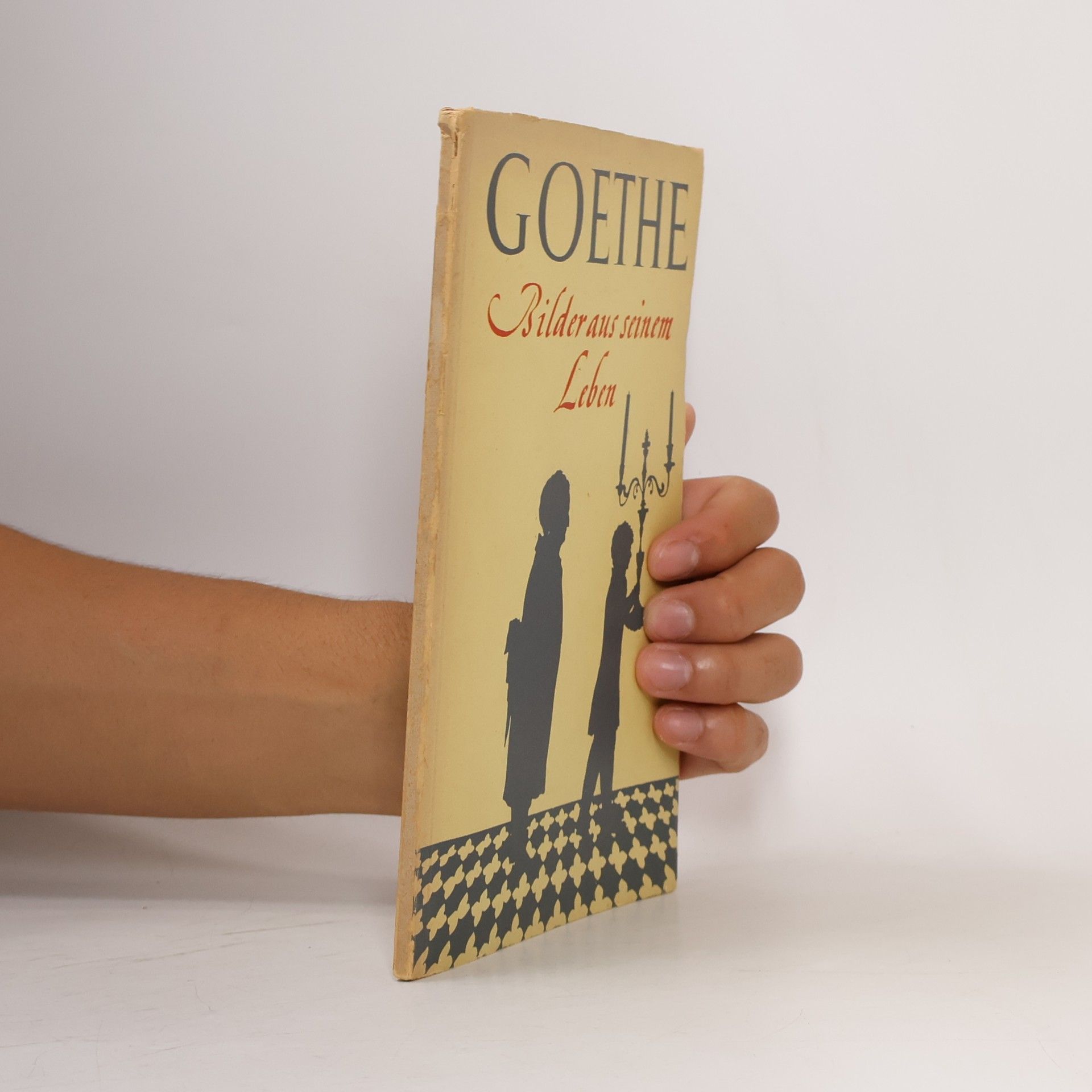 Goethe. Bilder aus seinem Leben