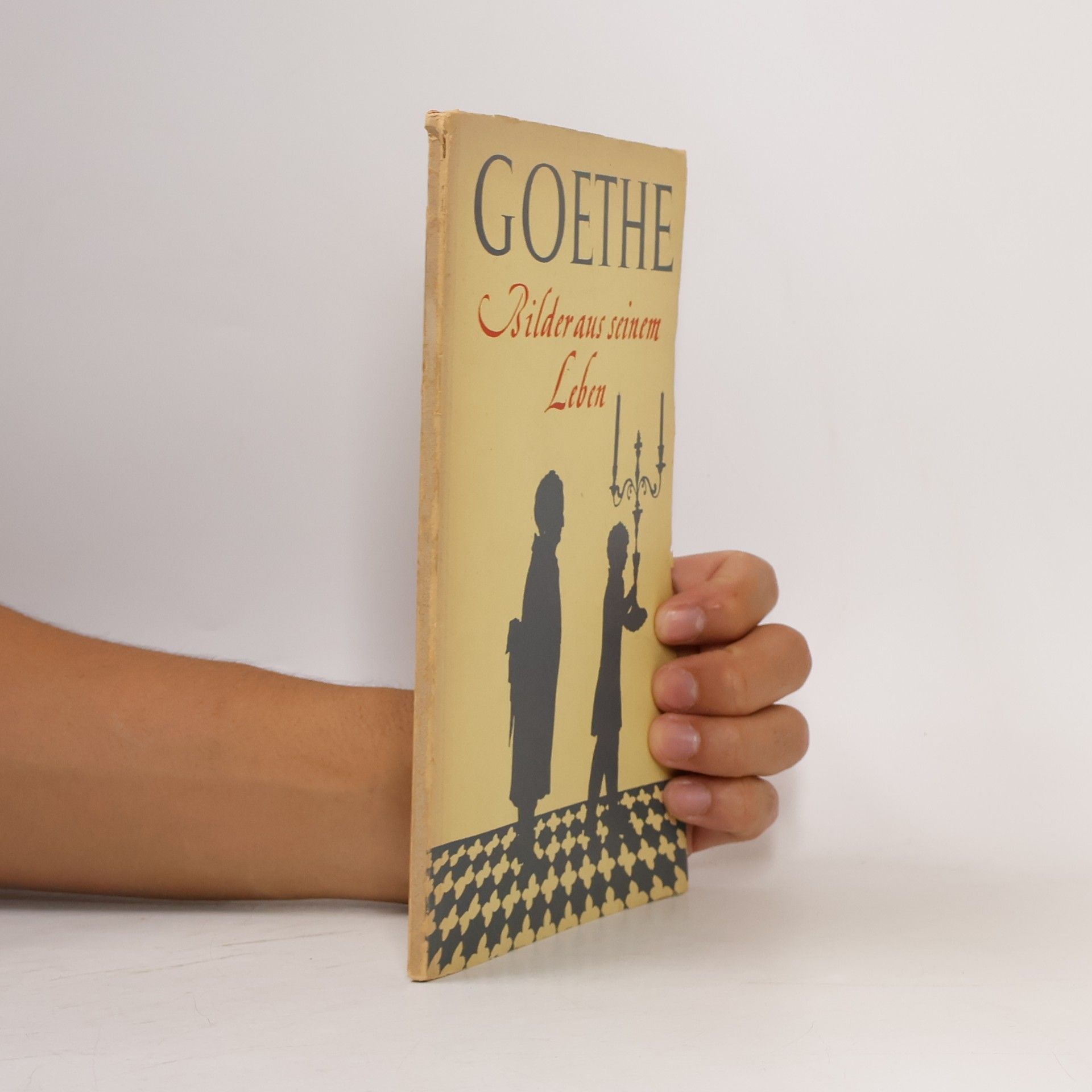 Konrad Gaiser Goethe. Bilder aus seinem Leben