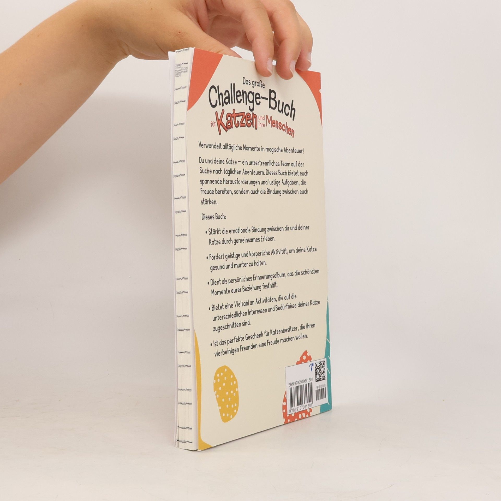 Laura Schmidt Das große Challenge-Buch für Katzen und ihre Menschen