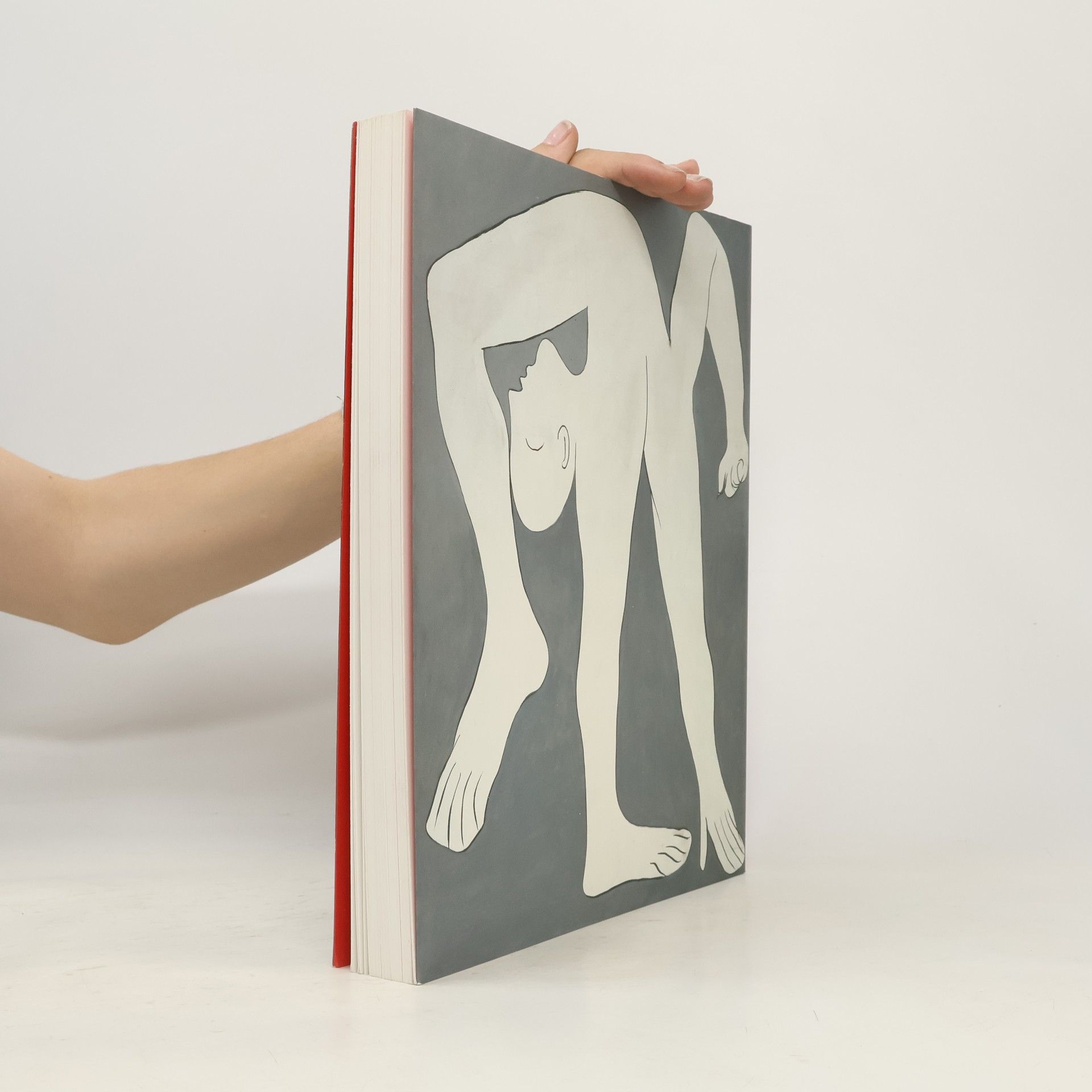 kolektiv Picasso
